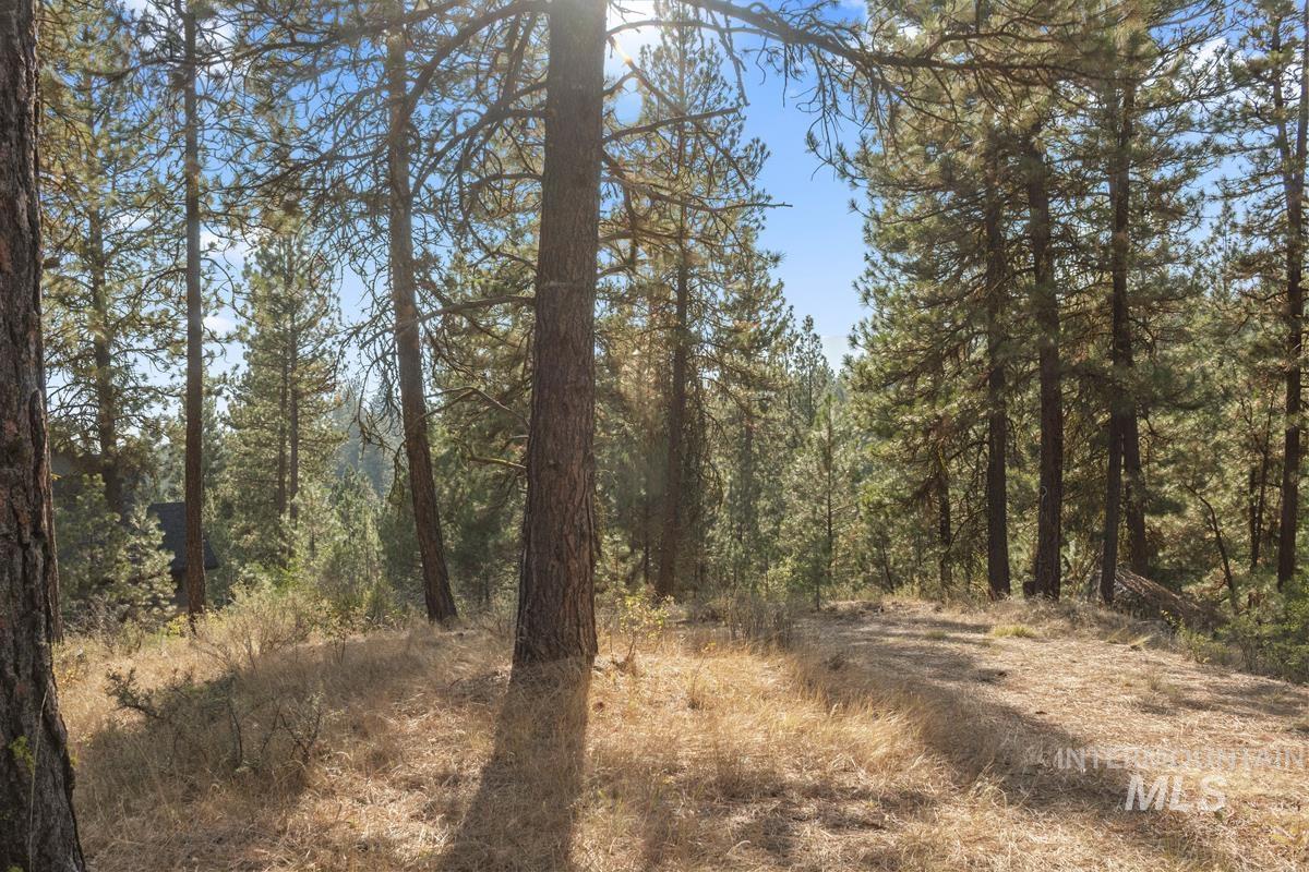 20 Joshua Drive, Cascade, Idaho 83611, Land For Sale, Price $240,000, 98961024