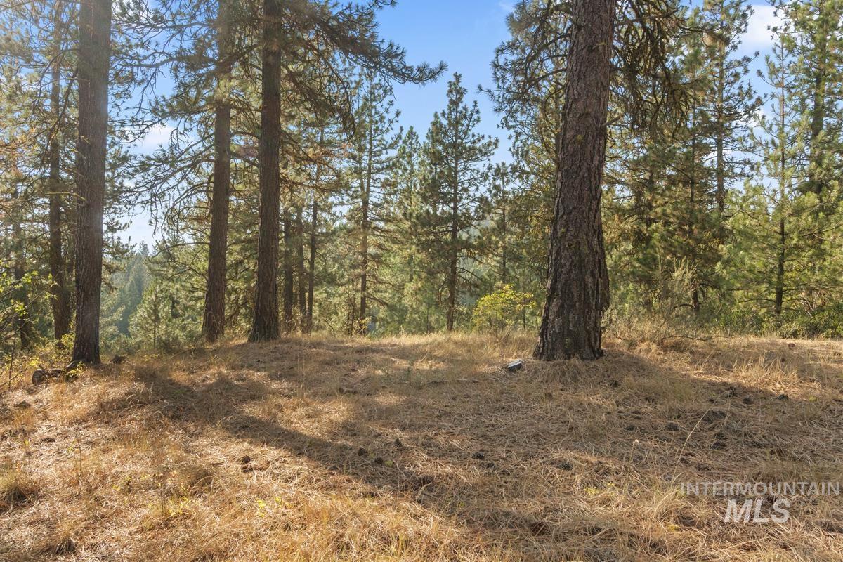 20 Joshua Drive, Cascade, Idaho 83611, Land For Sale, Price $240,000, 98961024