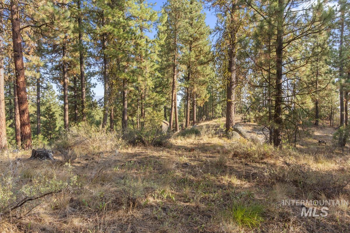 20 Joshua Drive, Cascade, Idaho 83611, Land For Sale, Price $240,000, 98961024