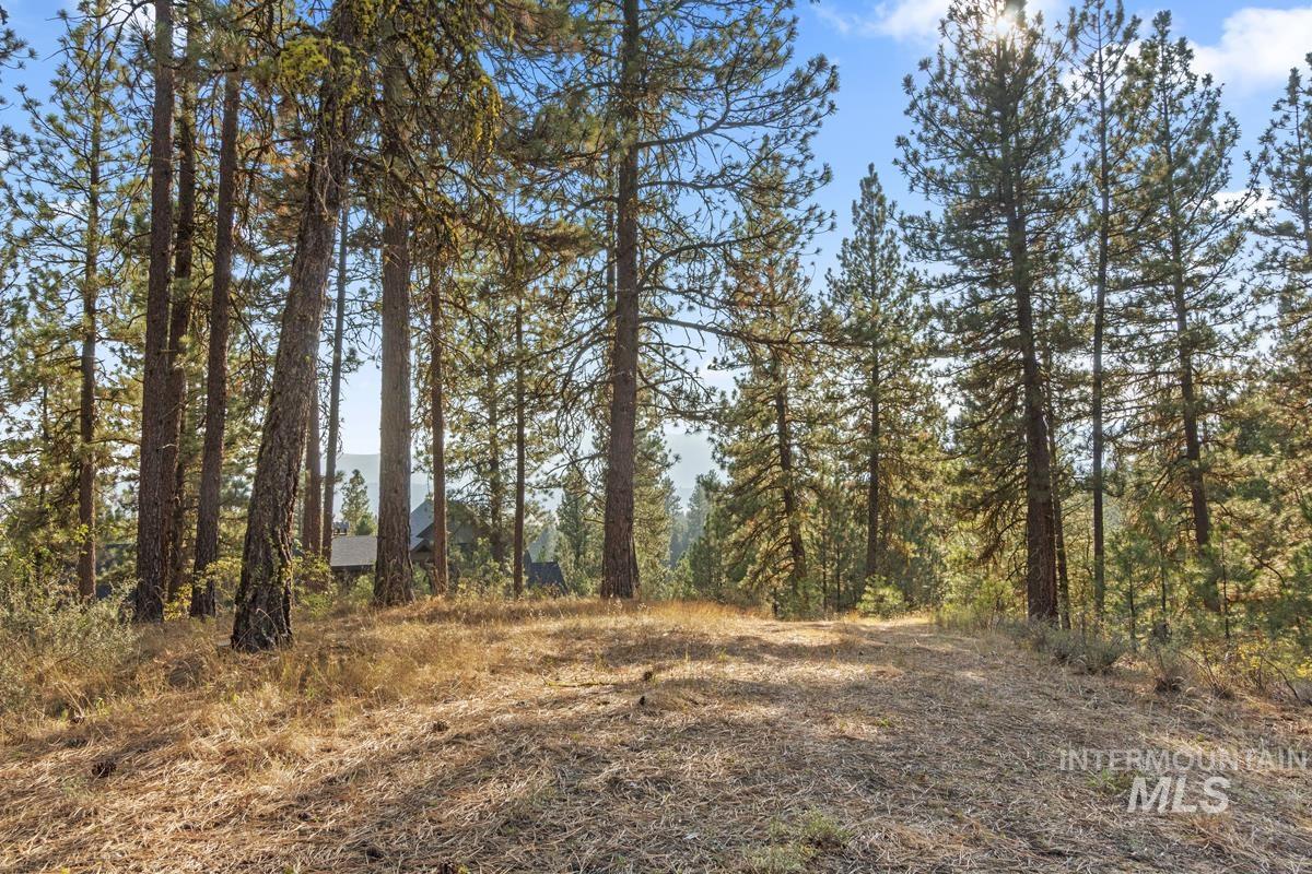 20 Joshua Drive, Cascade, Idaho 83611, Land For Sale, Price $240,000, 98961024