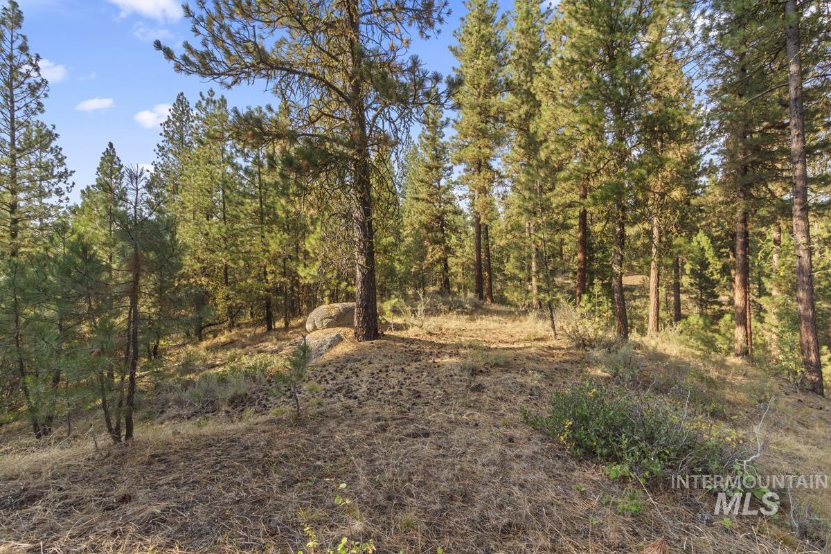20 Joshua Drive, Cascade, Idaho 83611, Land For Sale, Price $240,000, 98961024