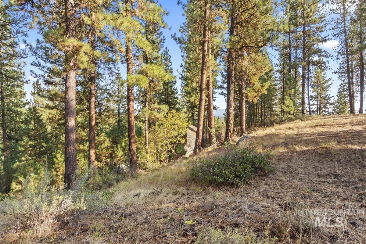 20 Joshua Drive, Cascade, Idaho 83611, Land For Sale, Price $240,000, 98961024