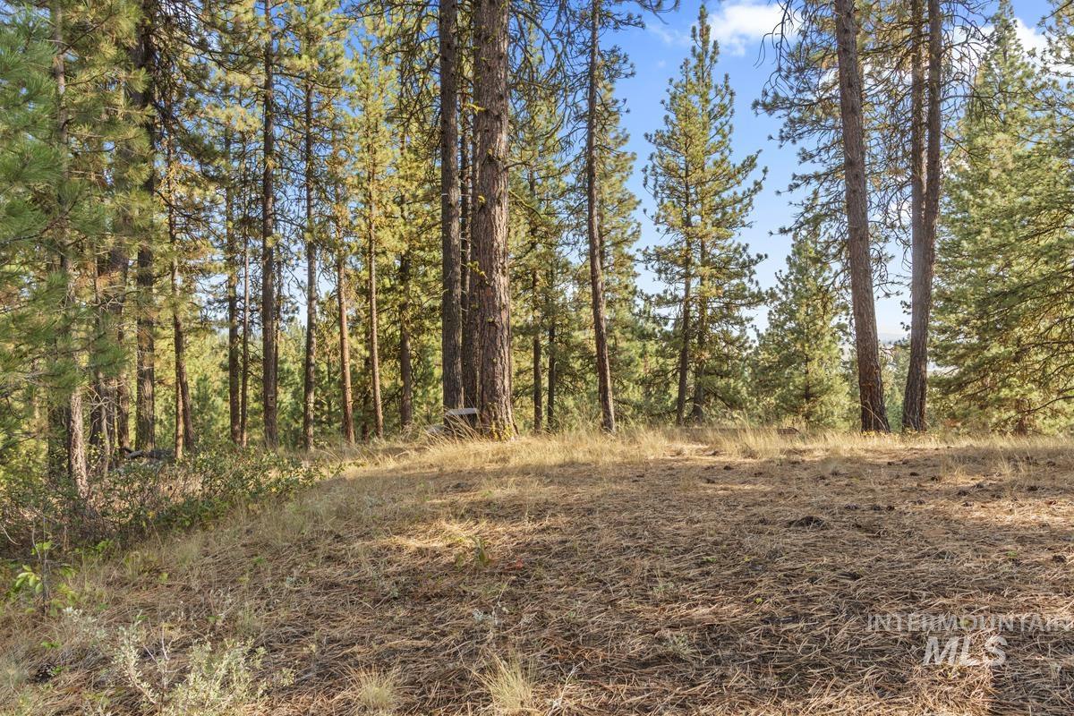 20 Joshua Drive, Cascade, Idaho 83611, Land For Sale, Price $240,000, 98961024