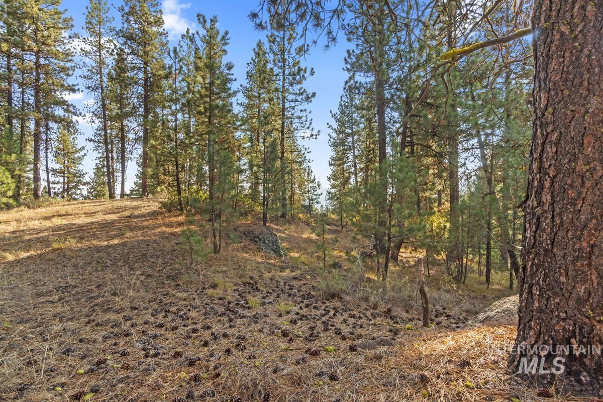 20 Joshua Drive, Cascade, Idaho 83611, Land For Sale, Price $240,000, 98961024