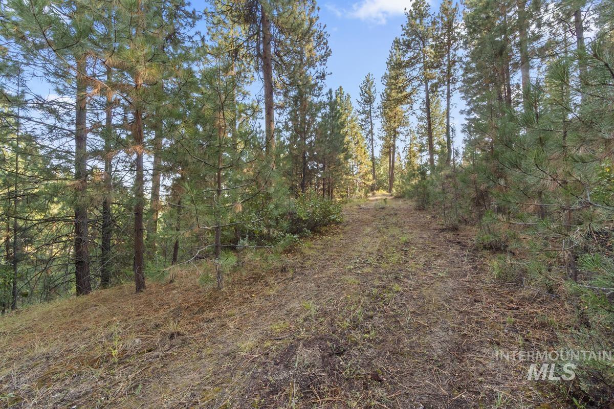 20 Joshua Drive, Cascade, Idaho 83611, Land For Sale, Price $240,000, 98961024