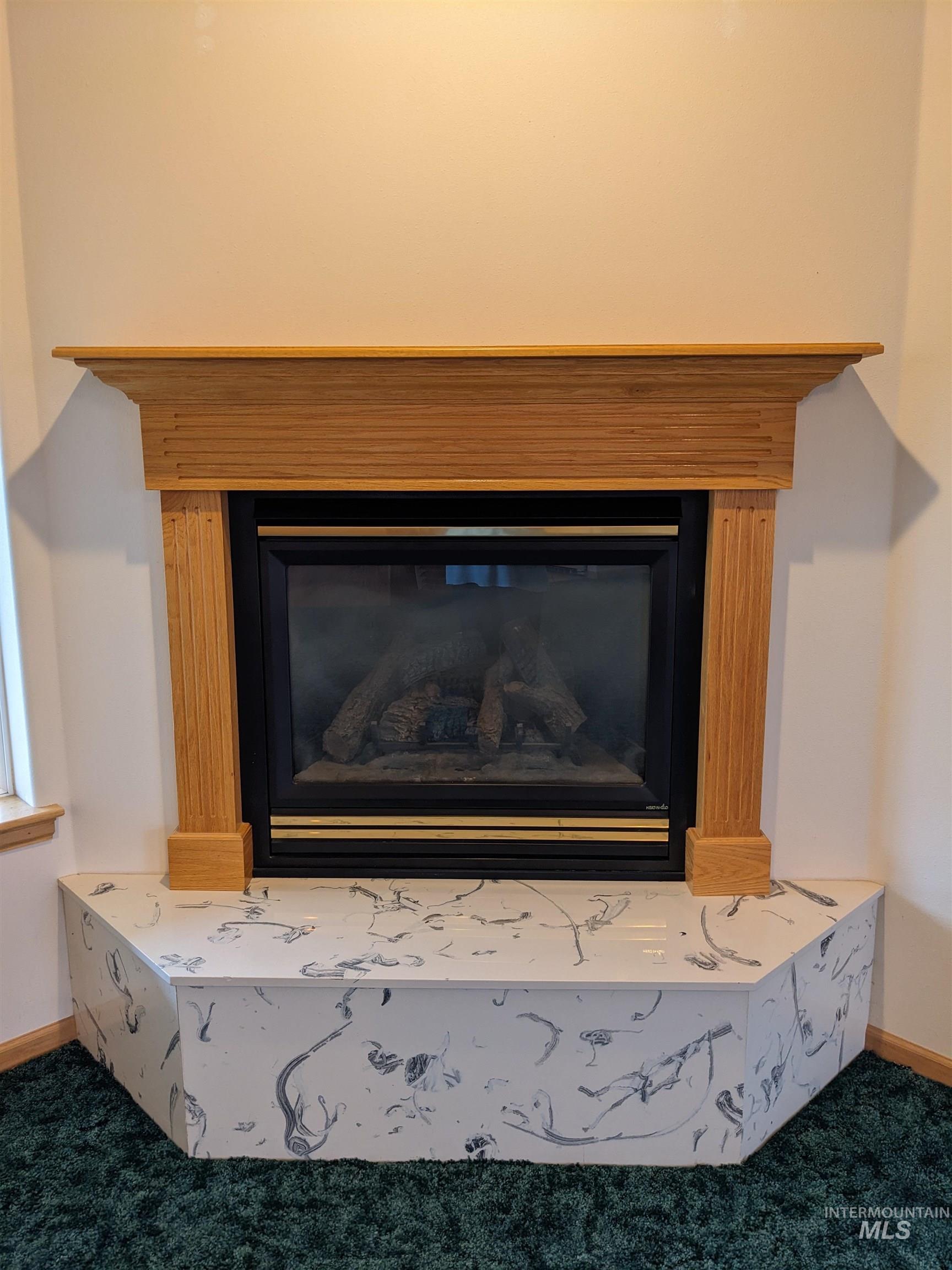 Detailed view of carpet floors and a glass covered fireplace