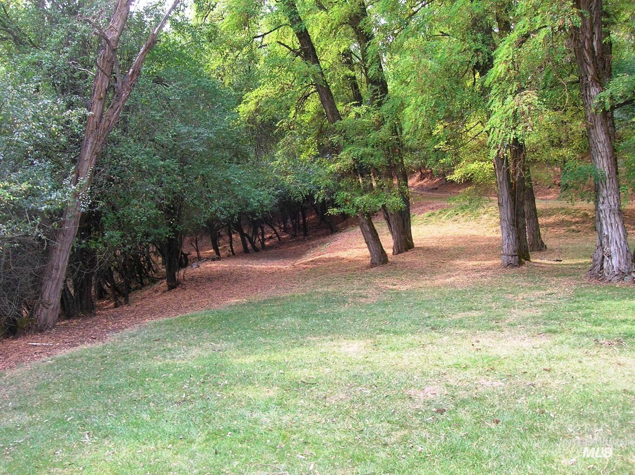 View of grassy yard