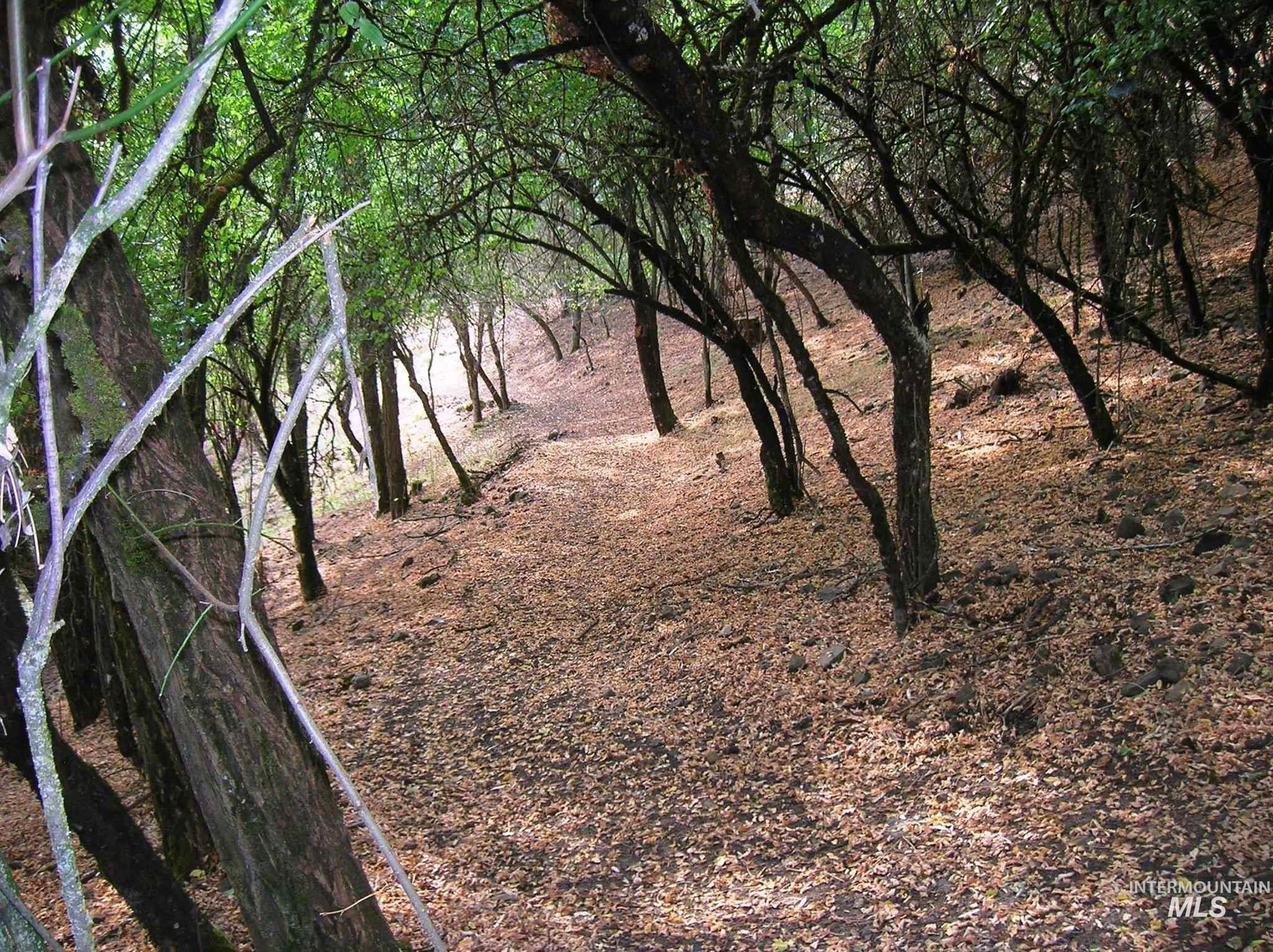 View of nature