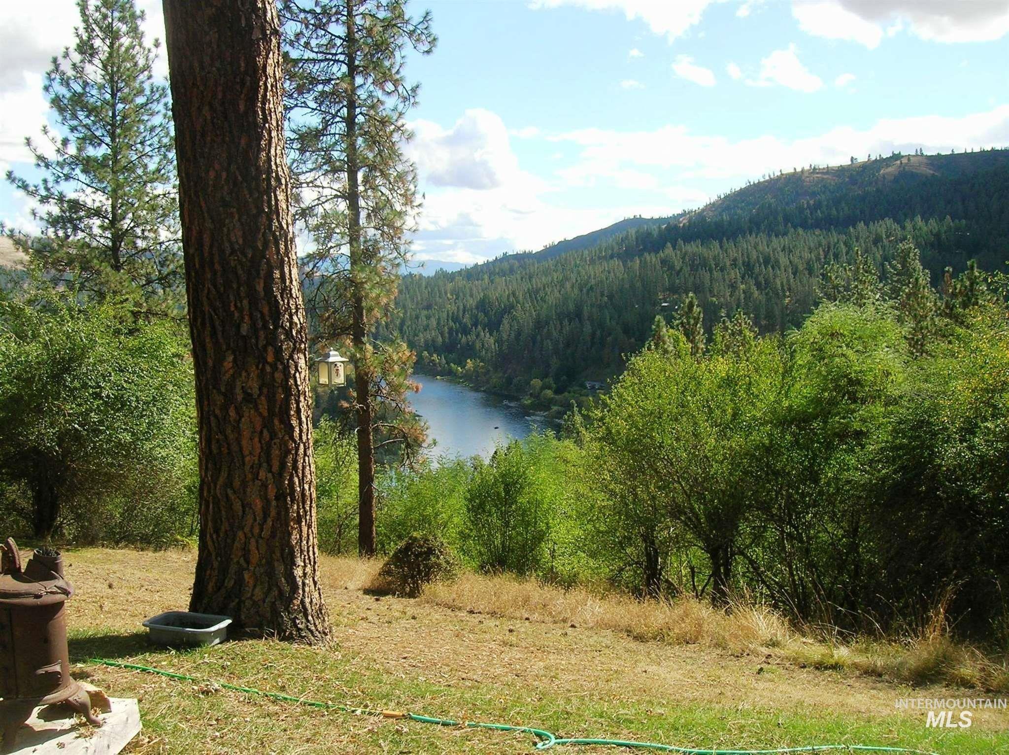 Water view with a forest and a mountainous background