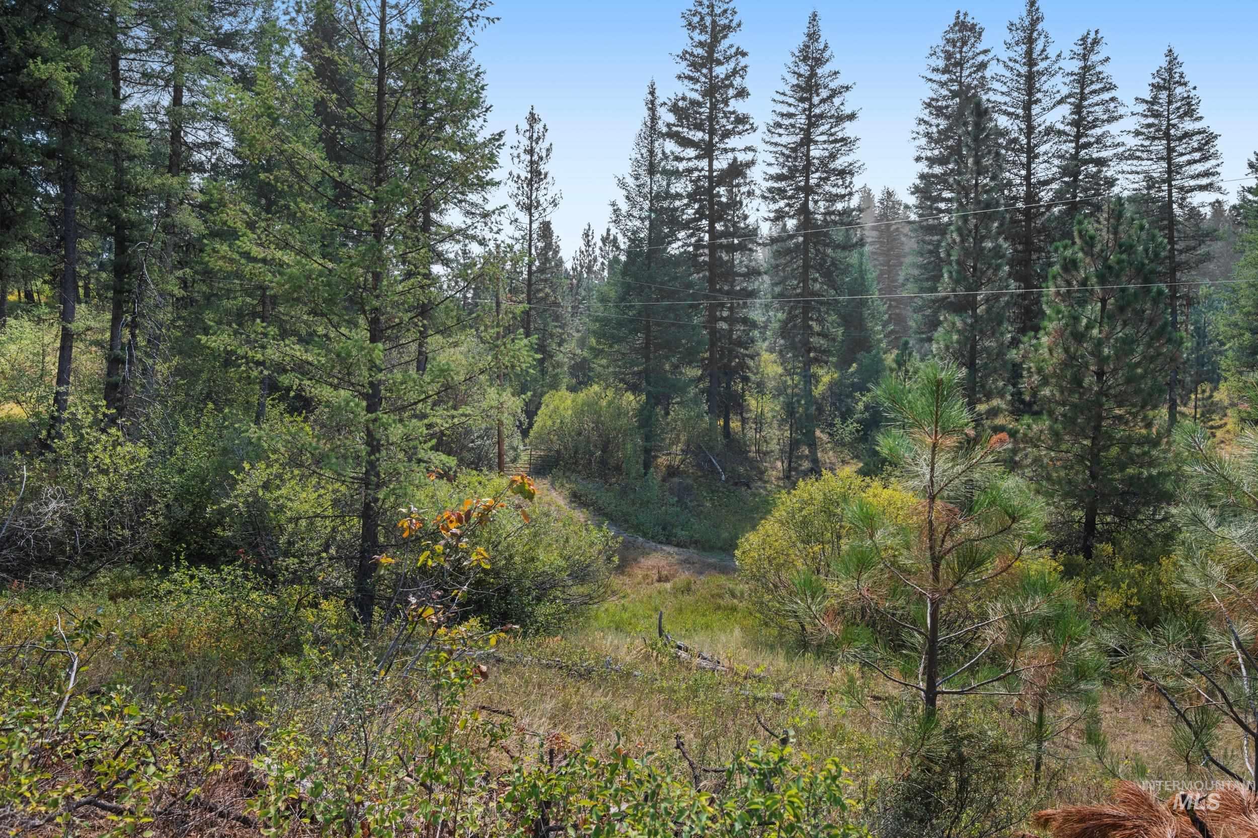 View of woods