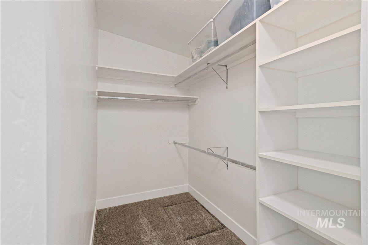 Walk in closet with carpet flooring