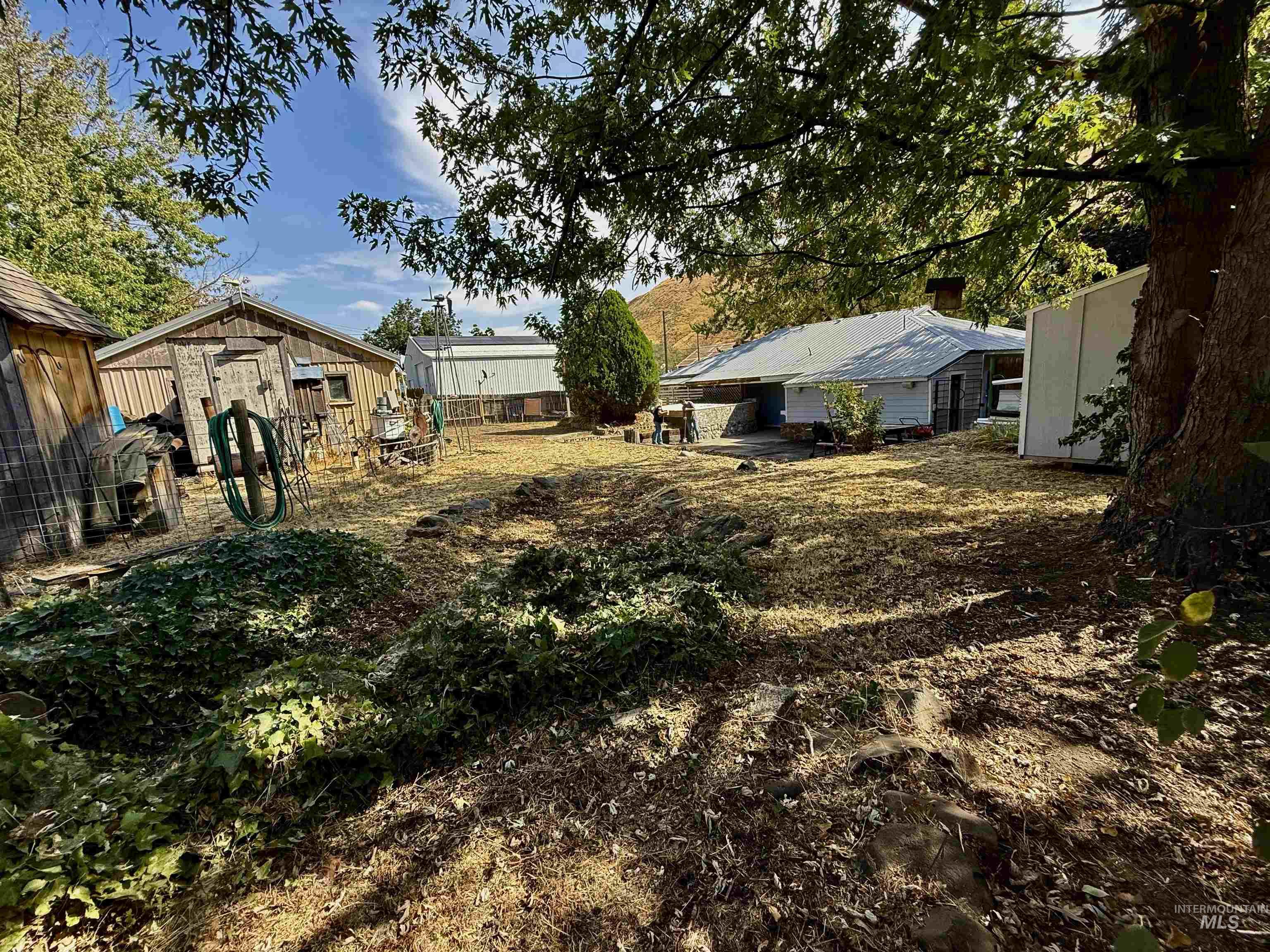 View of yard featuring an outbuilding