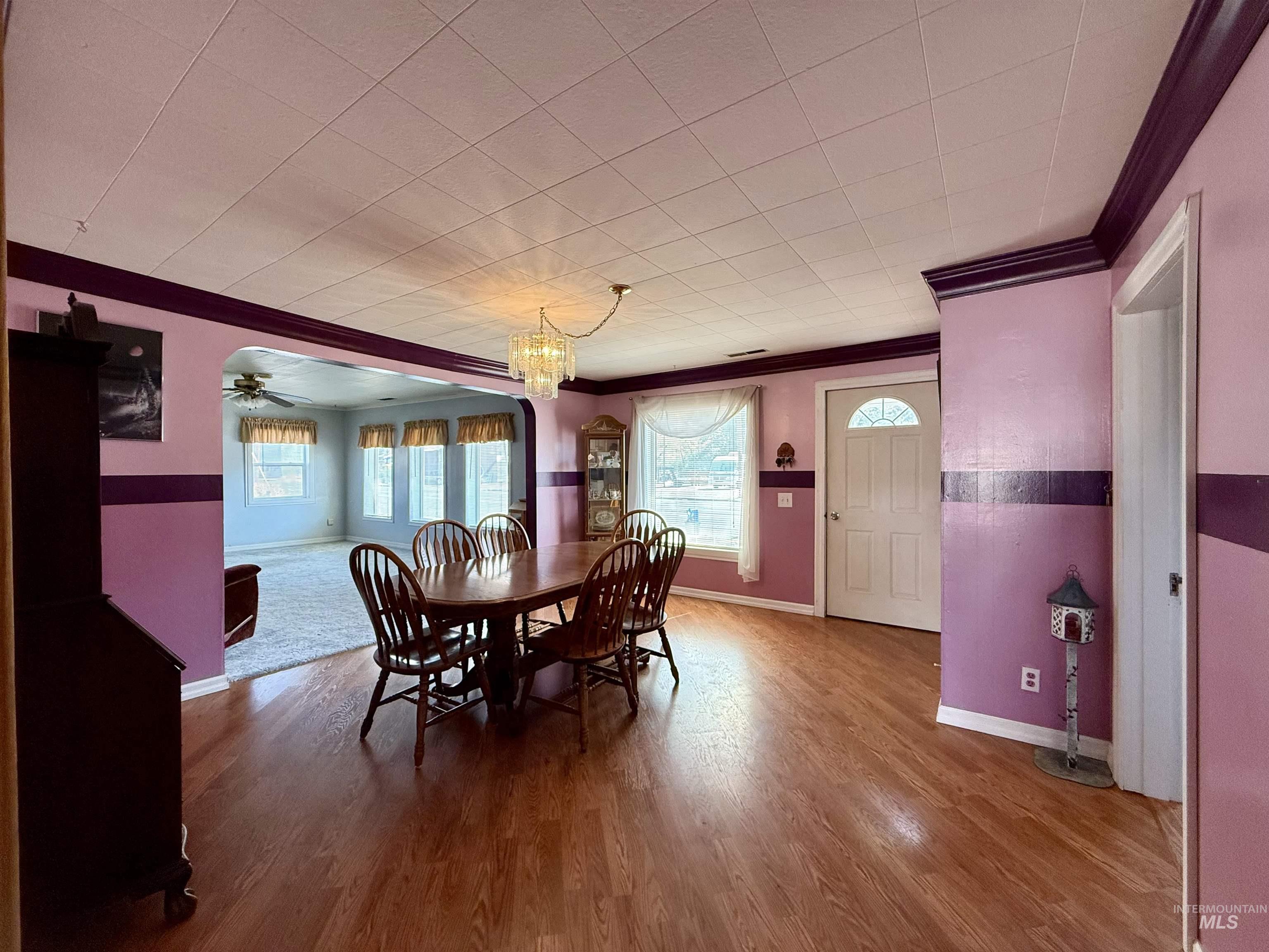 Dining space with crown molding, a chandelier, wood finished floors, plenty of natural light, and a ceiling fan