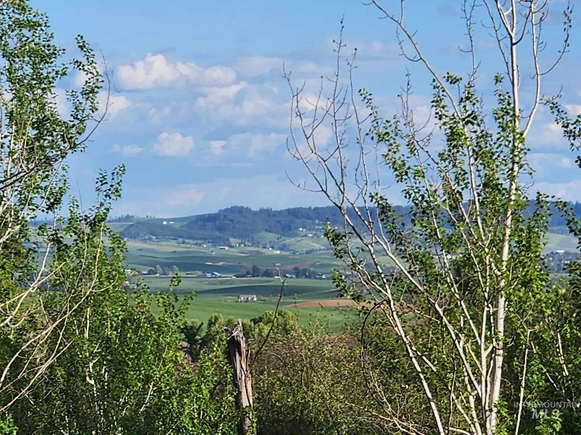 View of mountain background