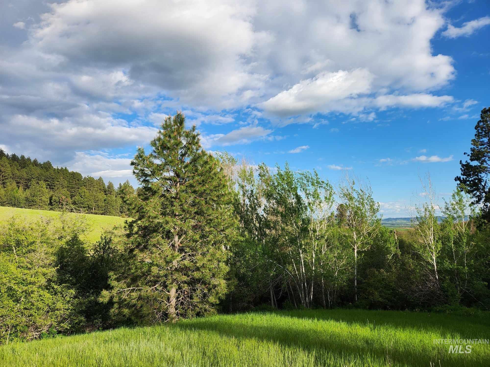 View of nature