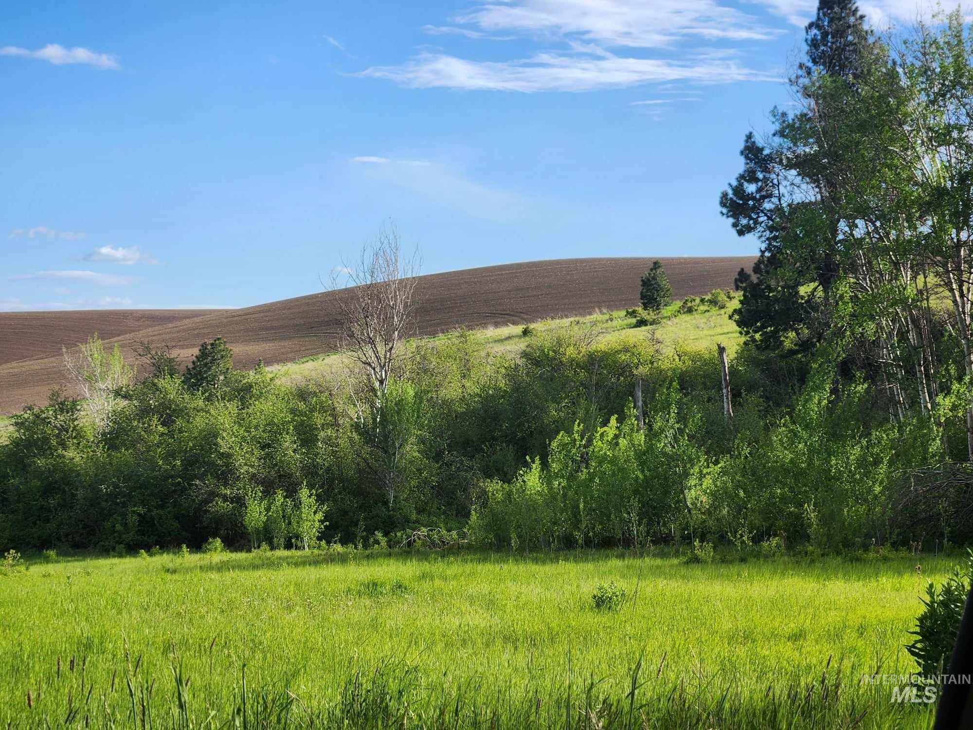 View of yard with a rural view