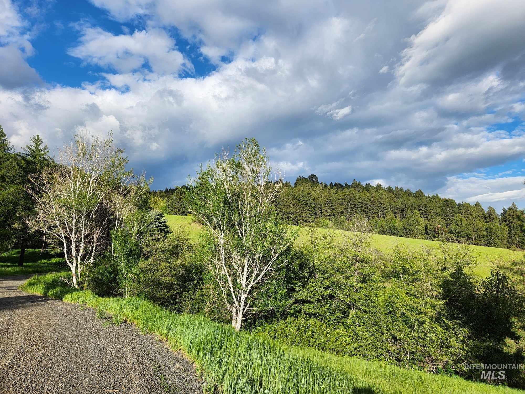View of undeveloped land