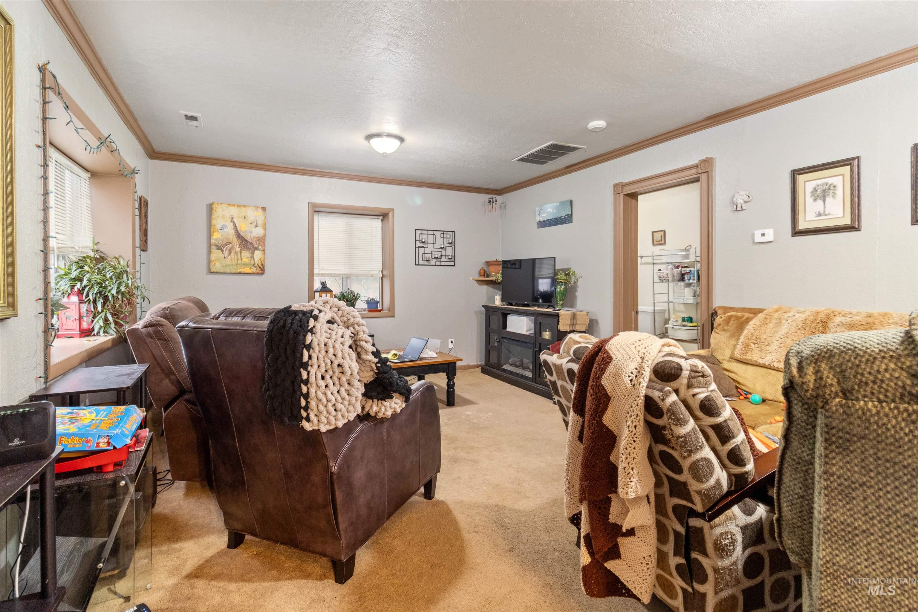 Living room featuring ornamental molding, light carpet, and a textured ceiling