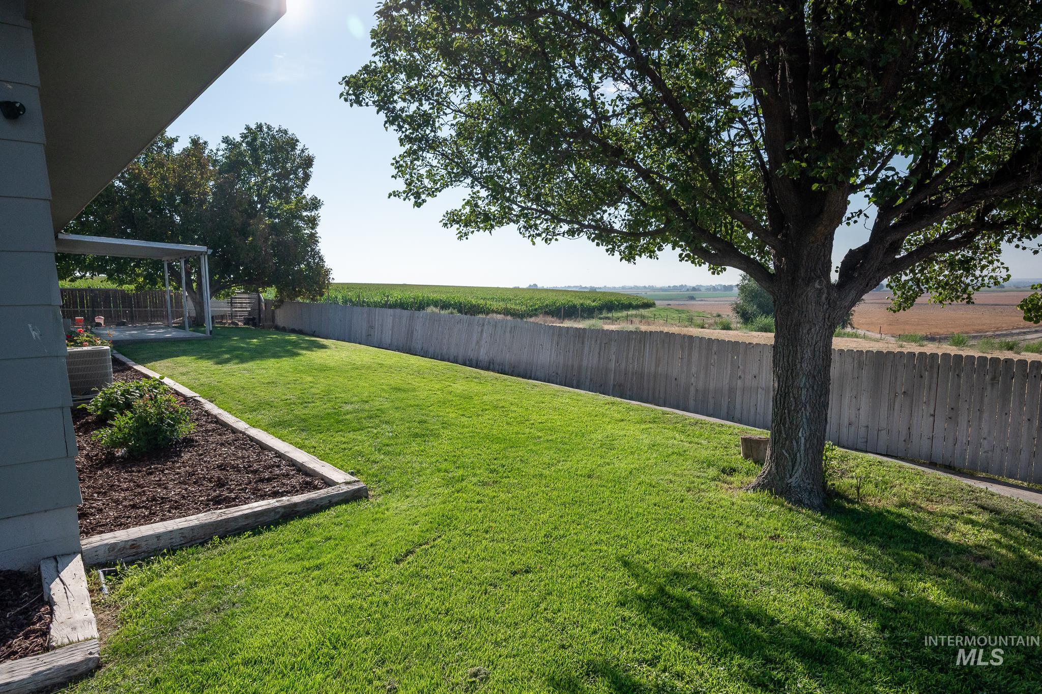 View of fenced backyard