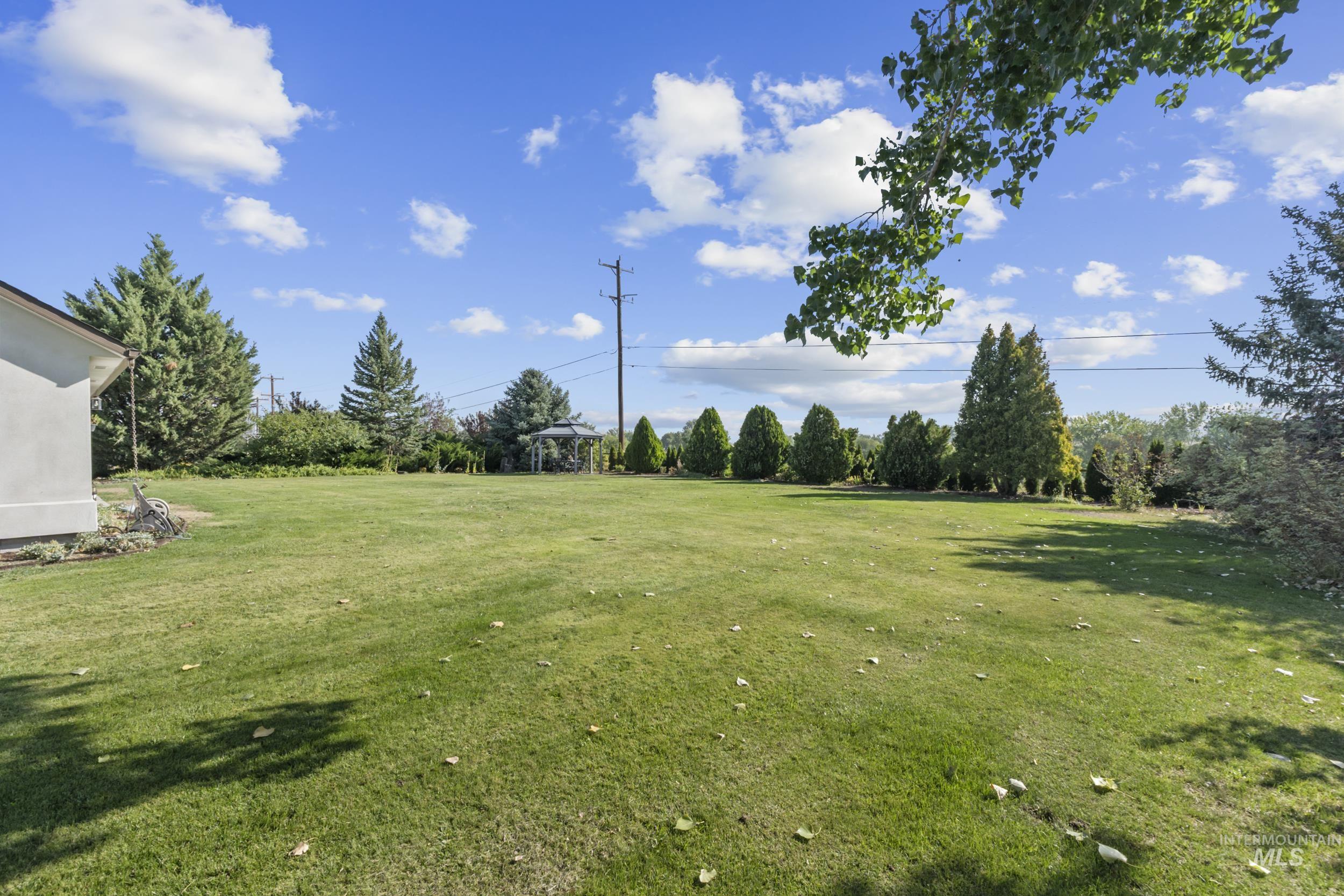 View of grassy yard featuring view of scattered trees