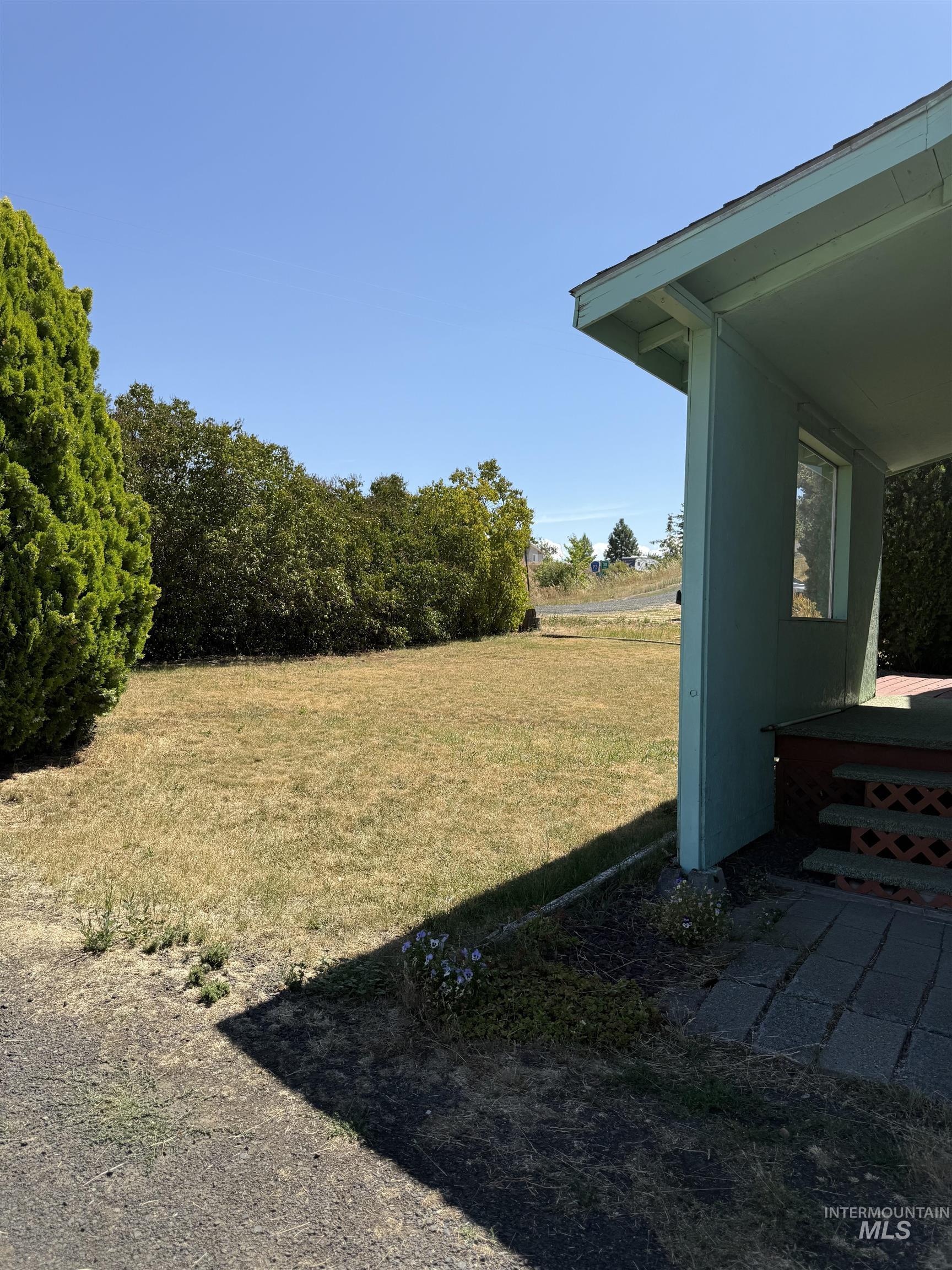 View of grassy yard