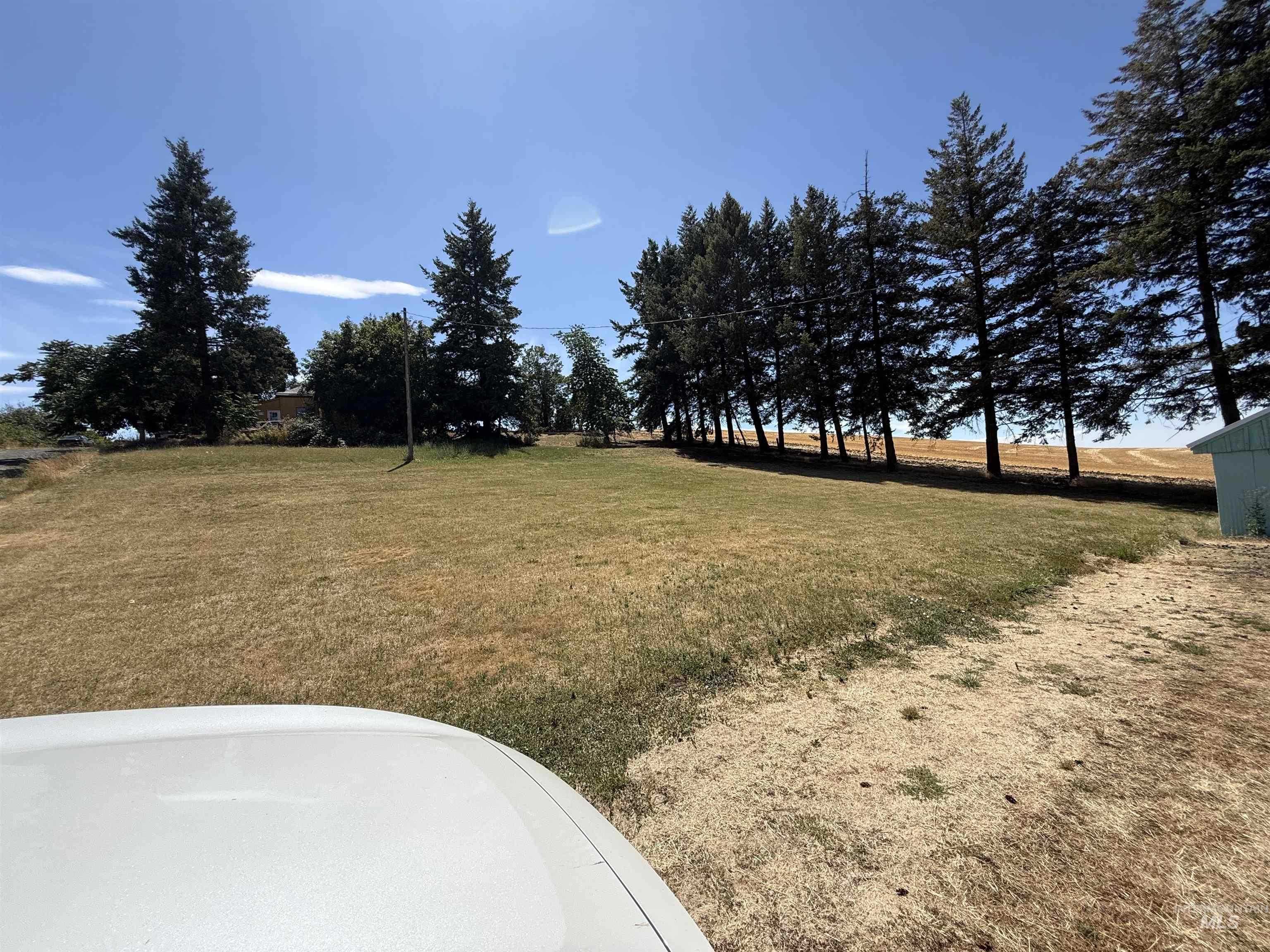 View of grassy yard