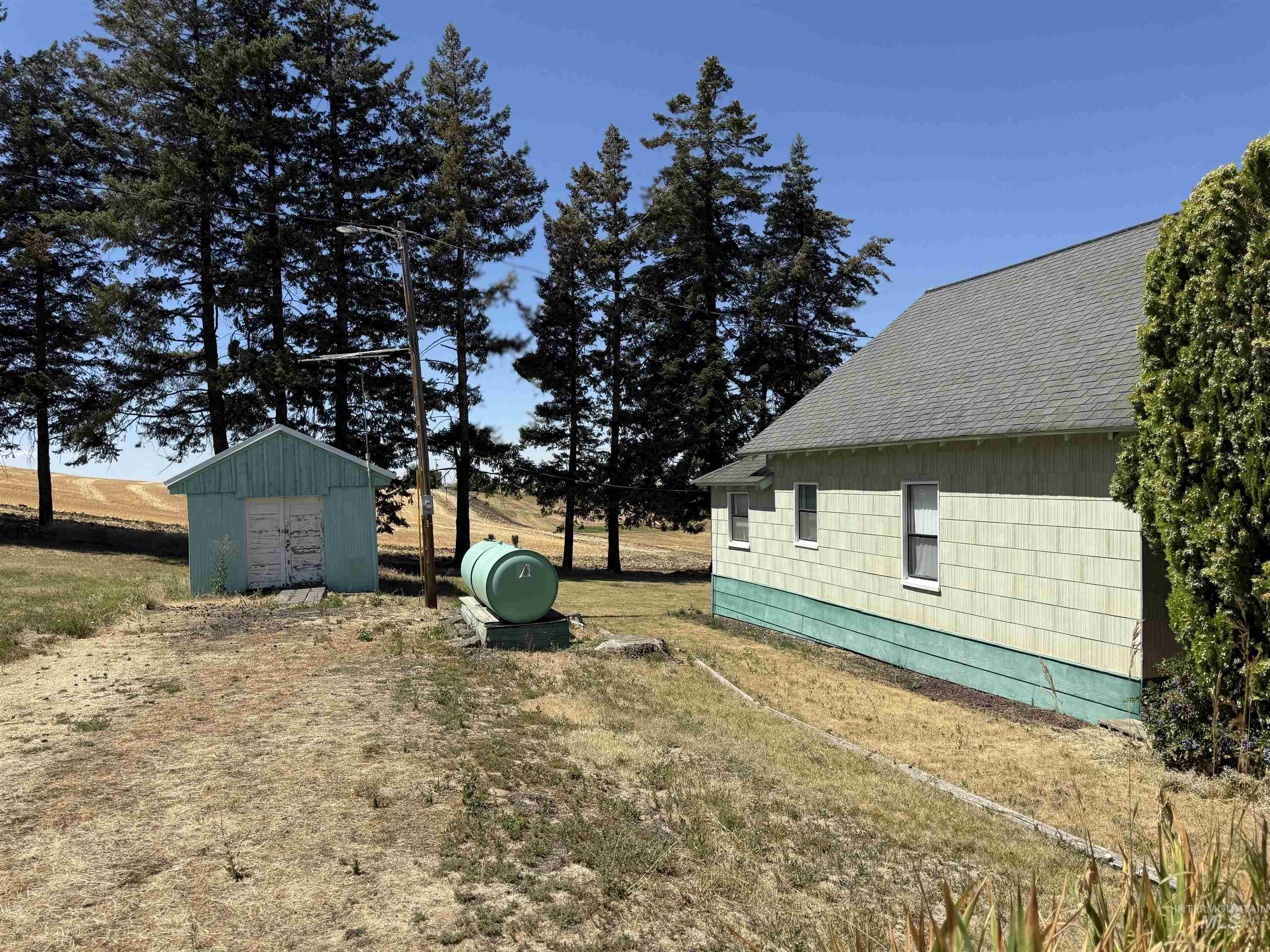 View of grassy yard with a storage shed