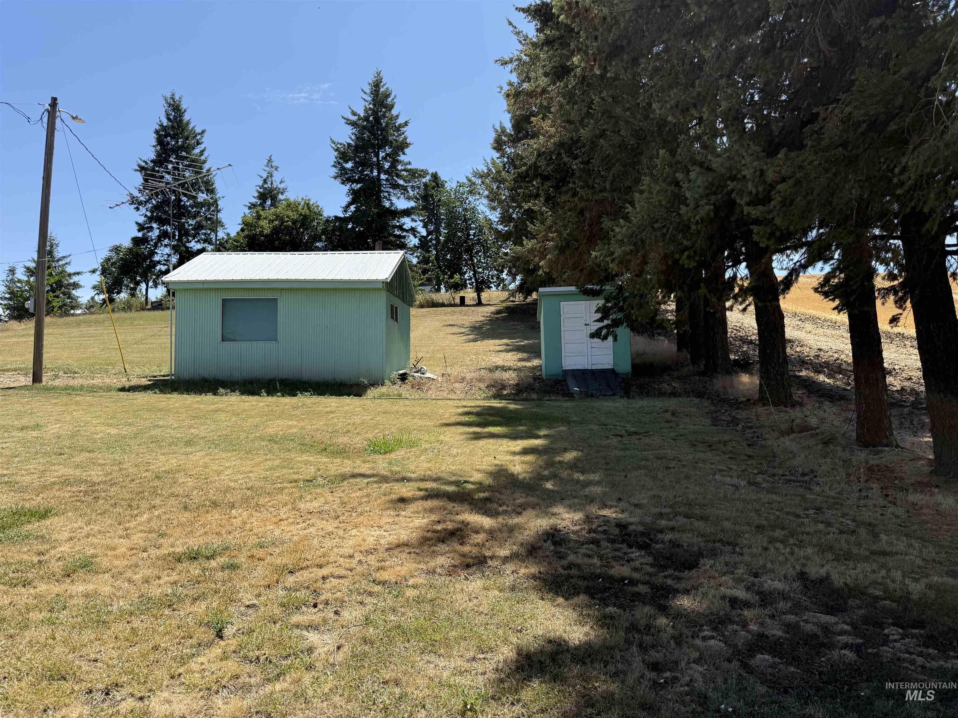 View of grassy yard with a storage shed