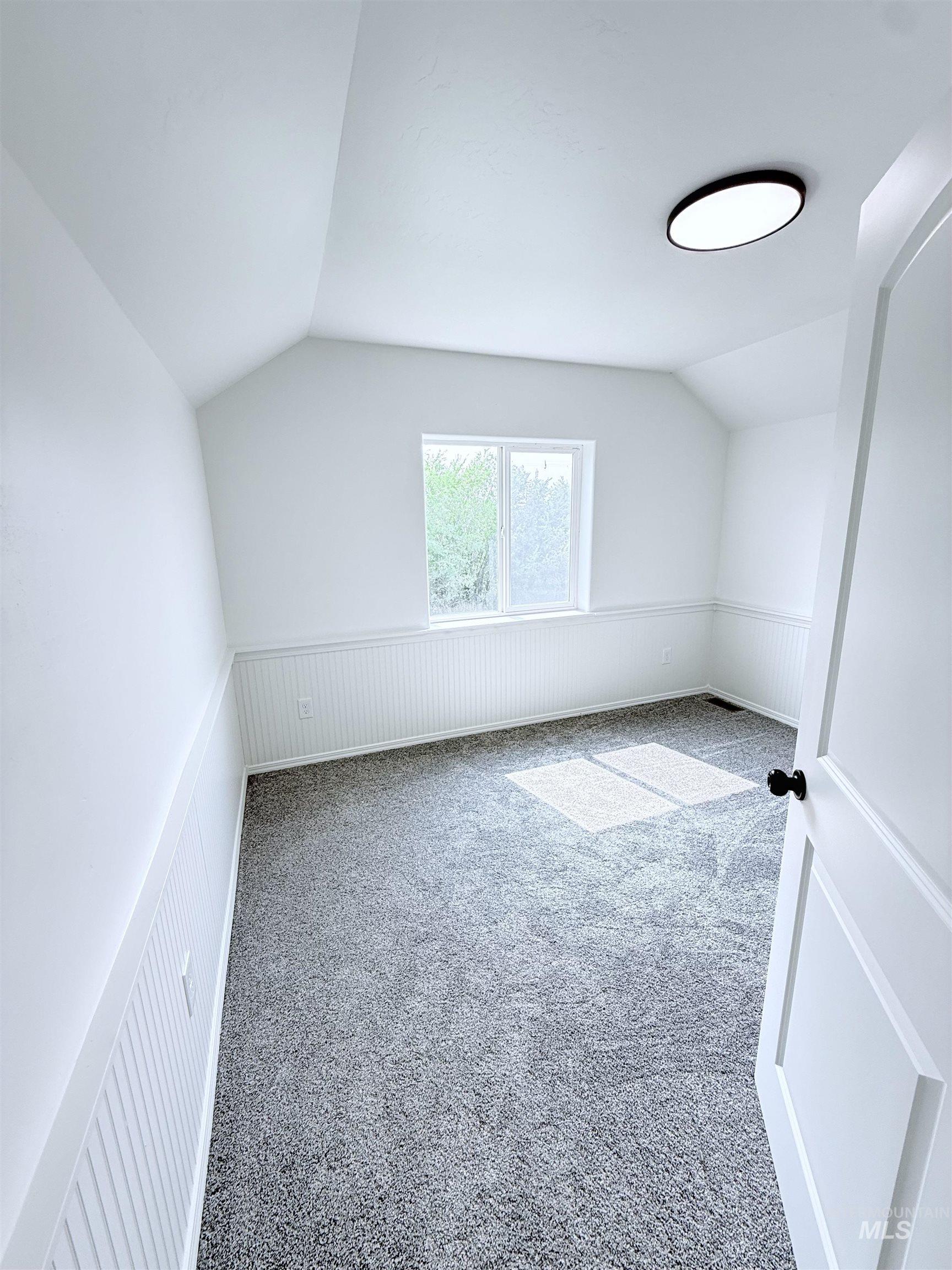 Bonus room with lofted ceiling, carpet floors, and a wainscoted wall