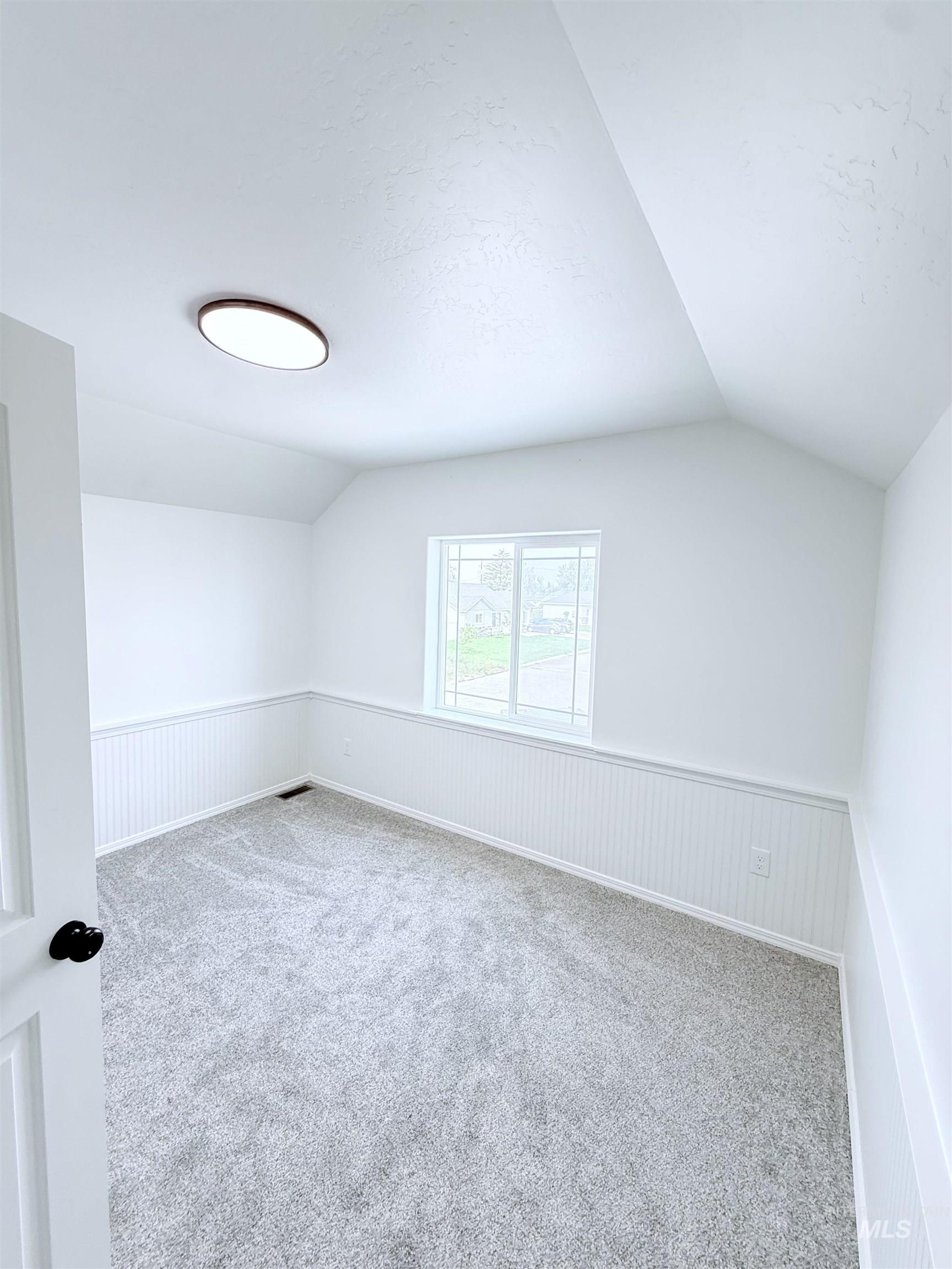 Bonus room featuring lofted ceiling, carpet flooring, and a wainscoted wall