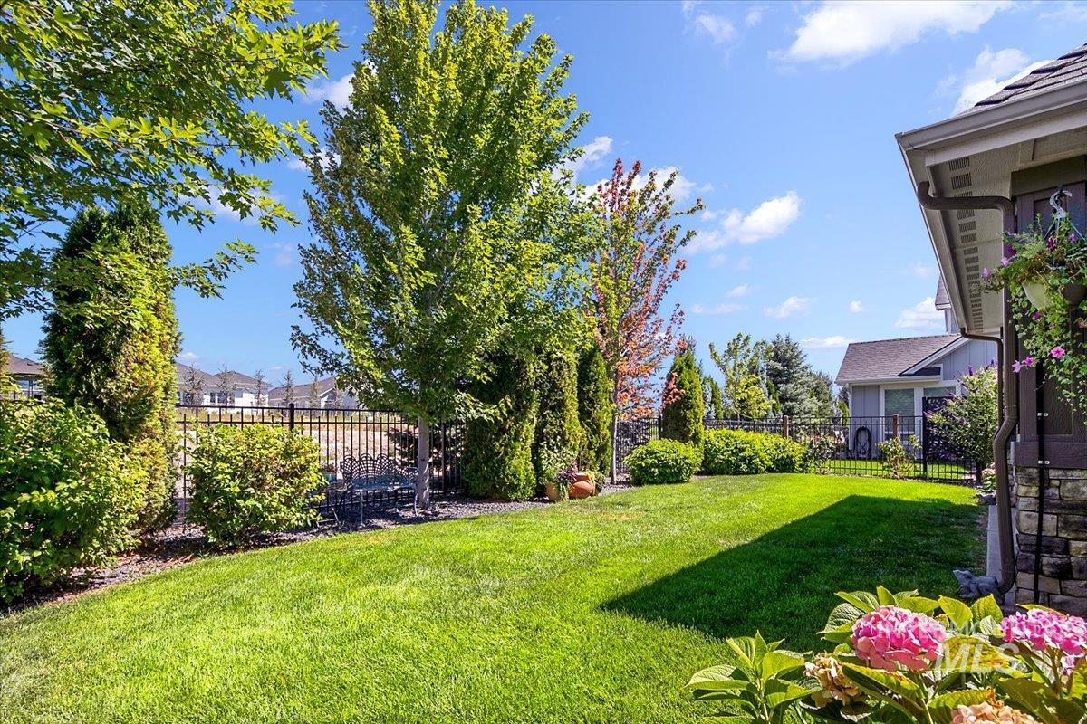View of fenced backyard