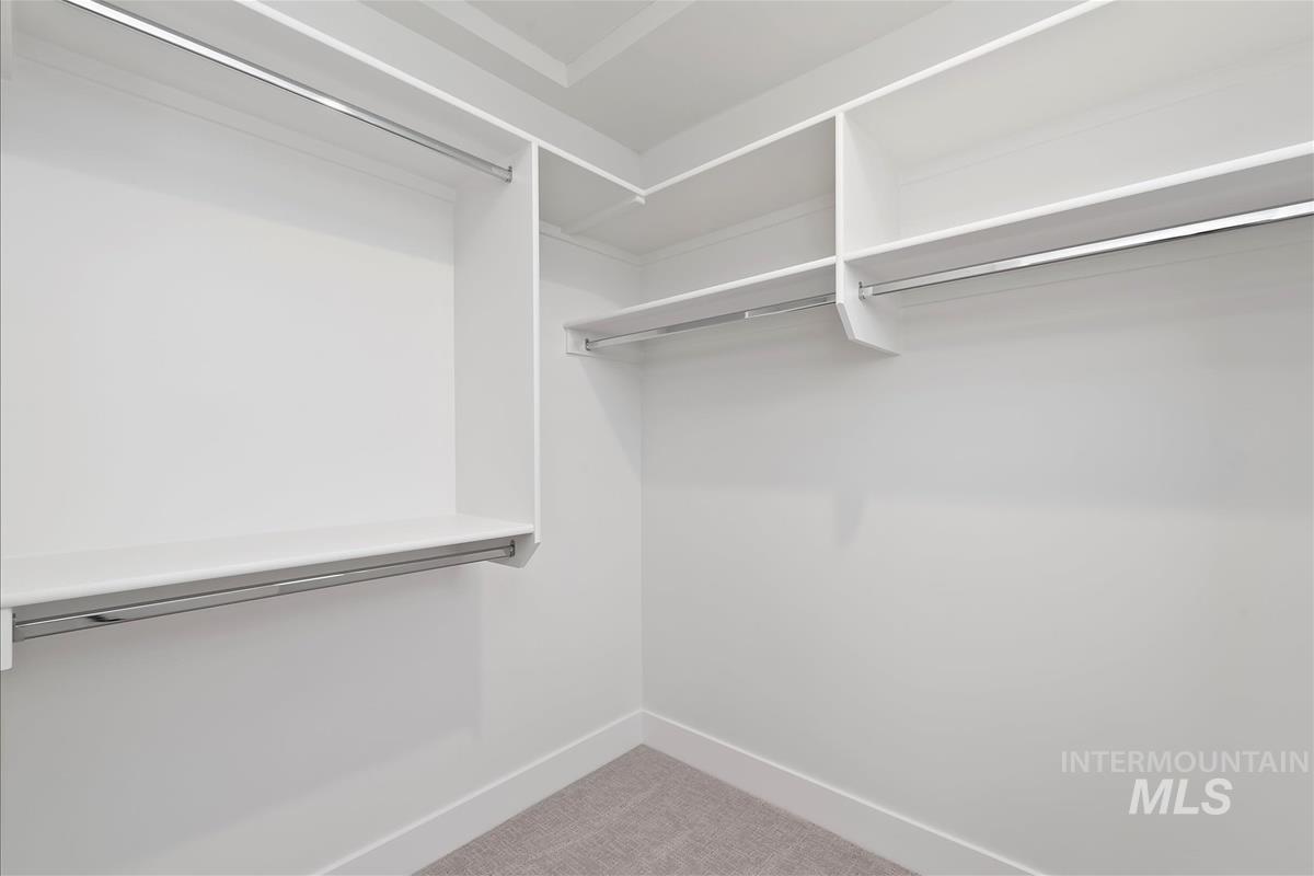 Walk in closet with light carpet