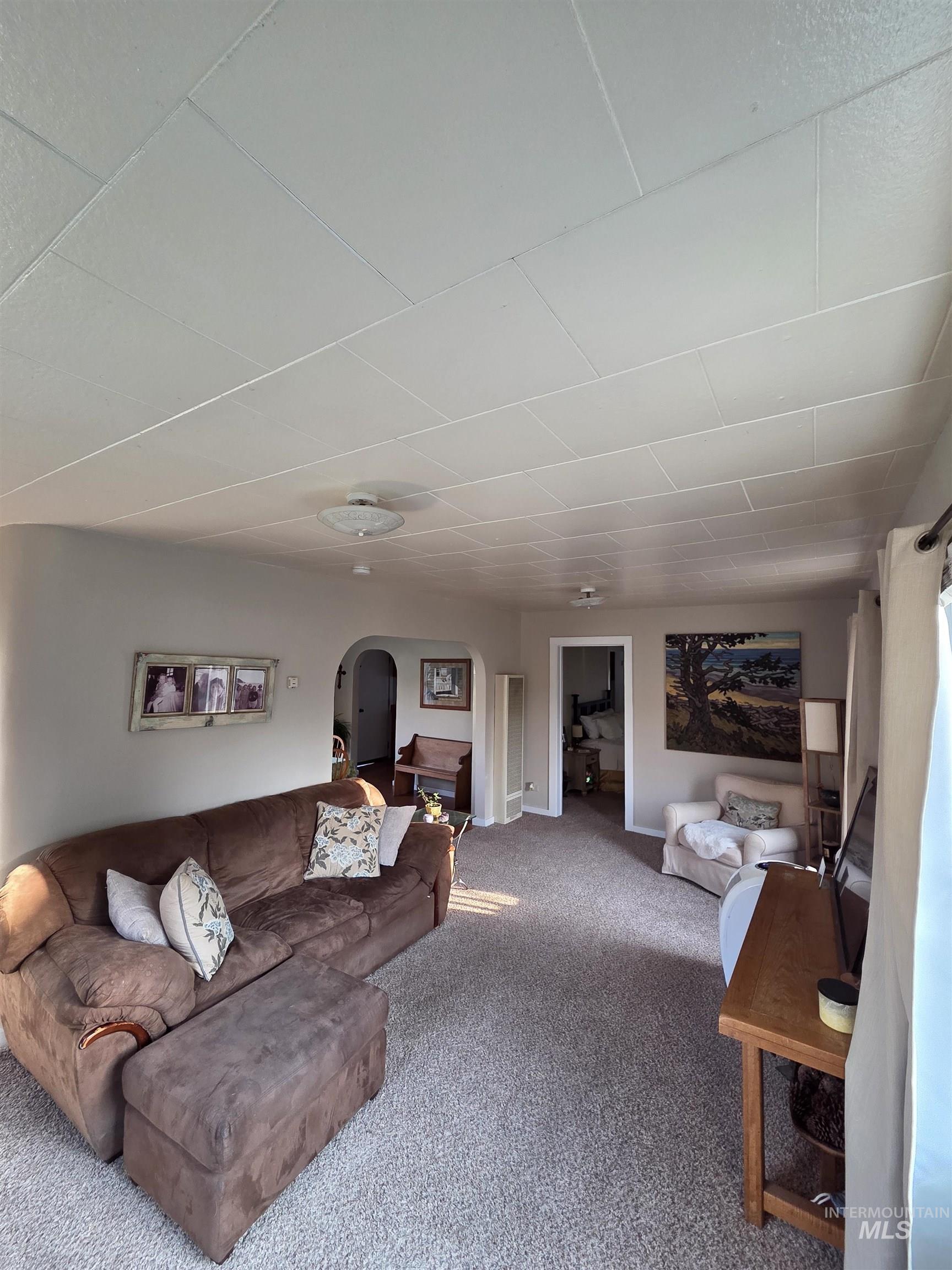 Living room with carpet and arched walkways