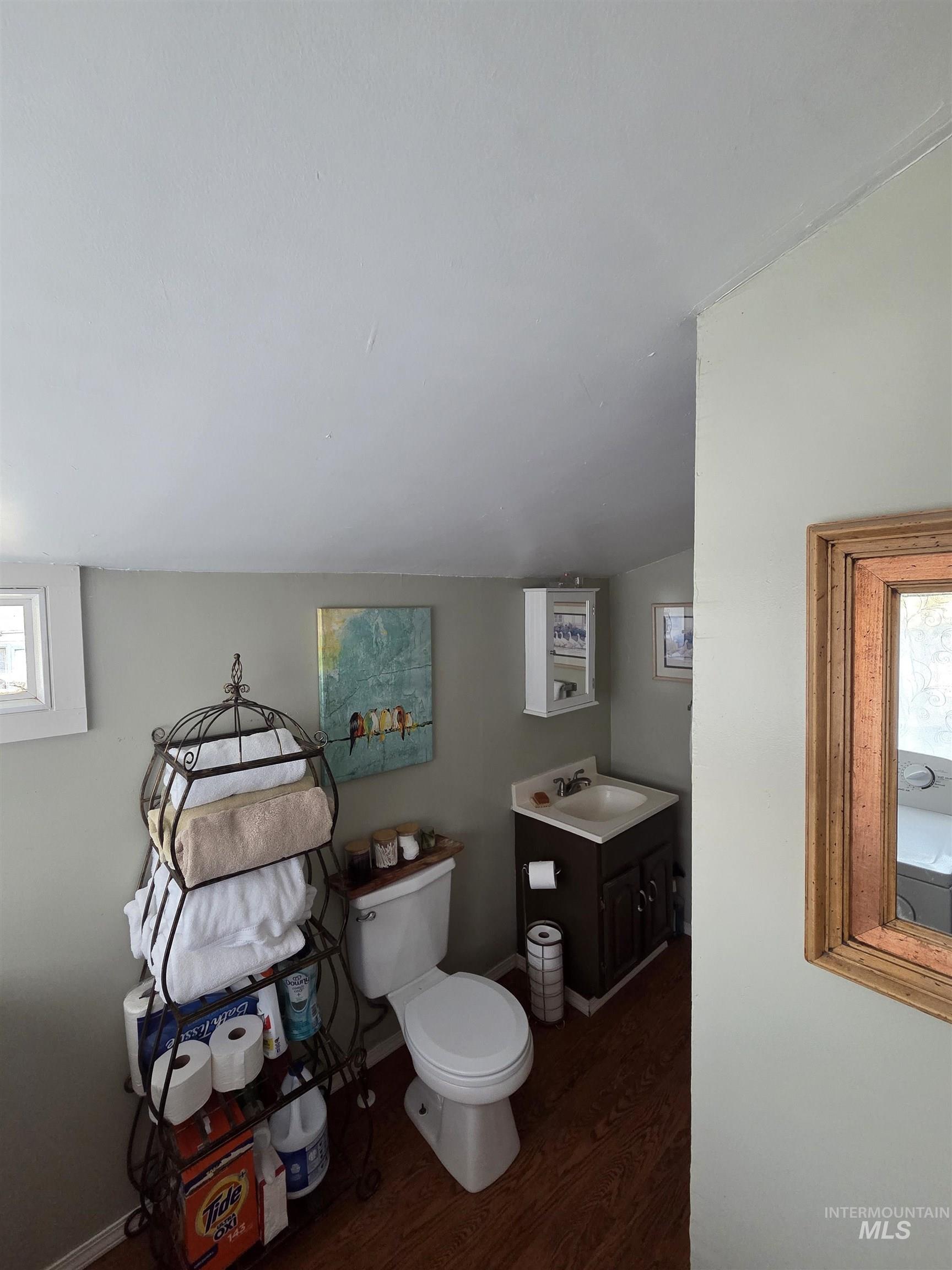 Bathroom with plenty of natural light, dark wood finished floors, vanity, and vaulted ceiling
