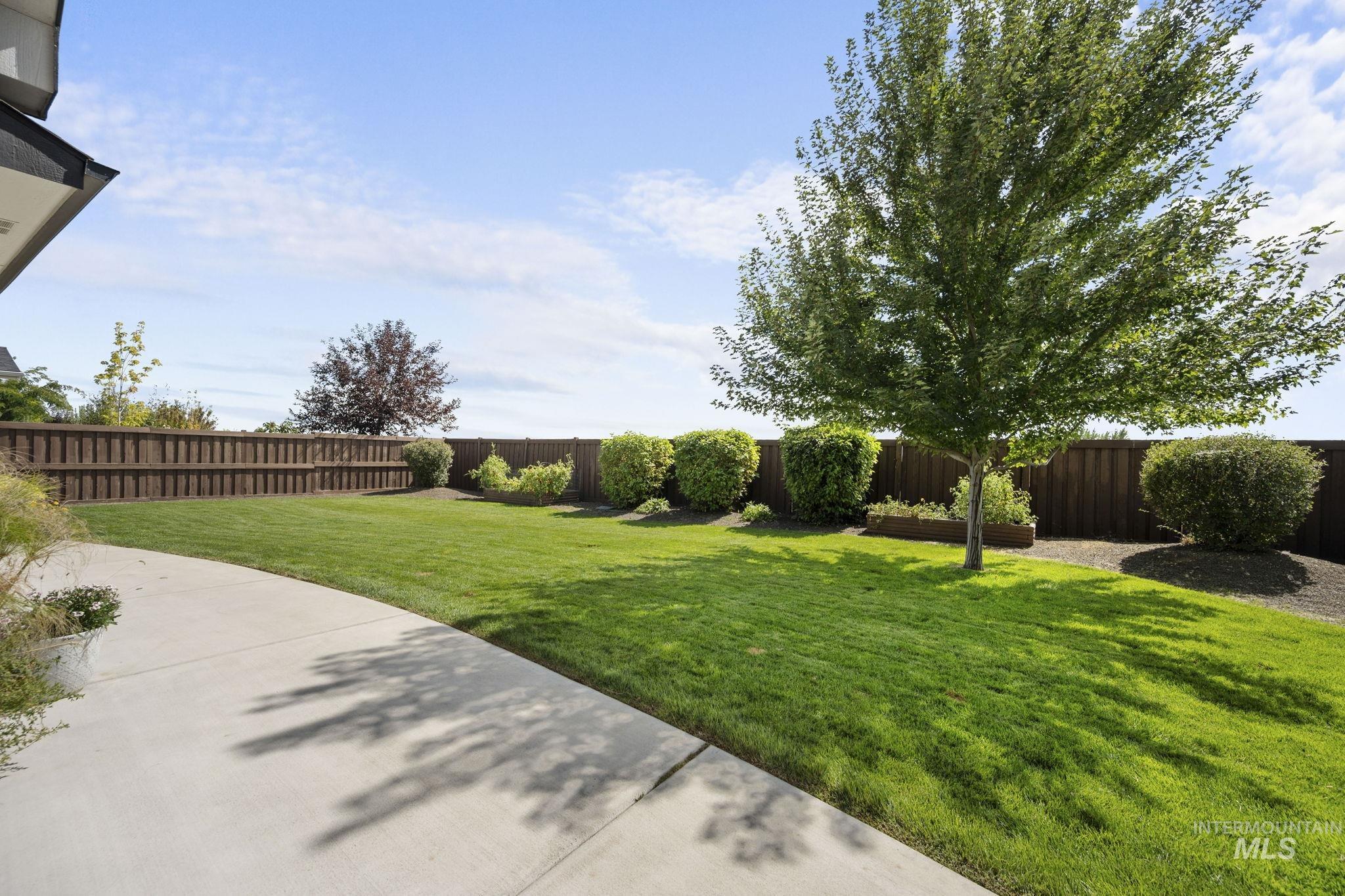 View of fenced backyard