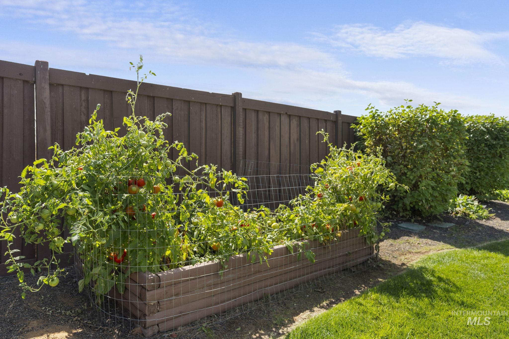Garden Boxes along backyard fence line