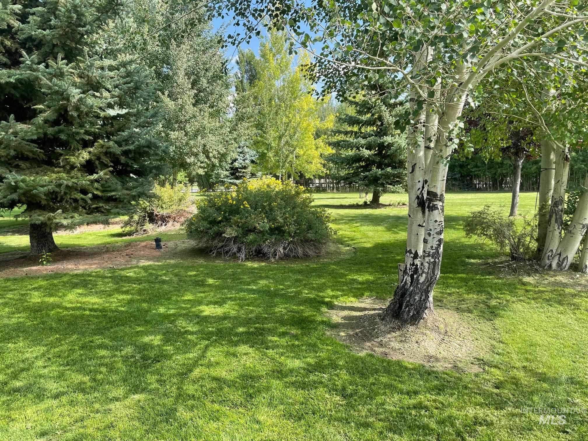 4238 Summit Dr, Mackay, Idaho 83251, Land For Sale, Price $395,000, 98961139