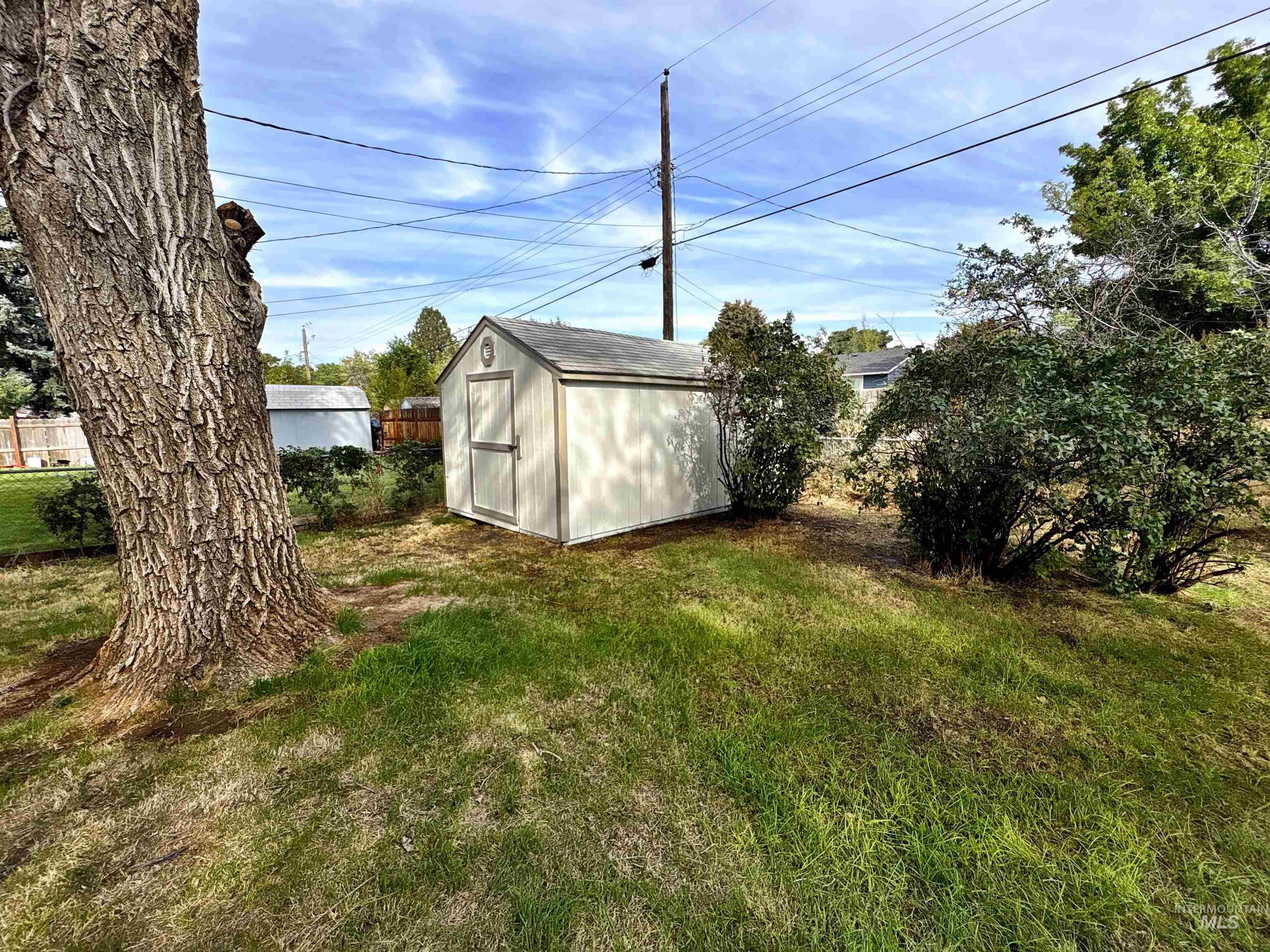 View of yard featuring a shed