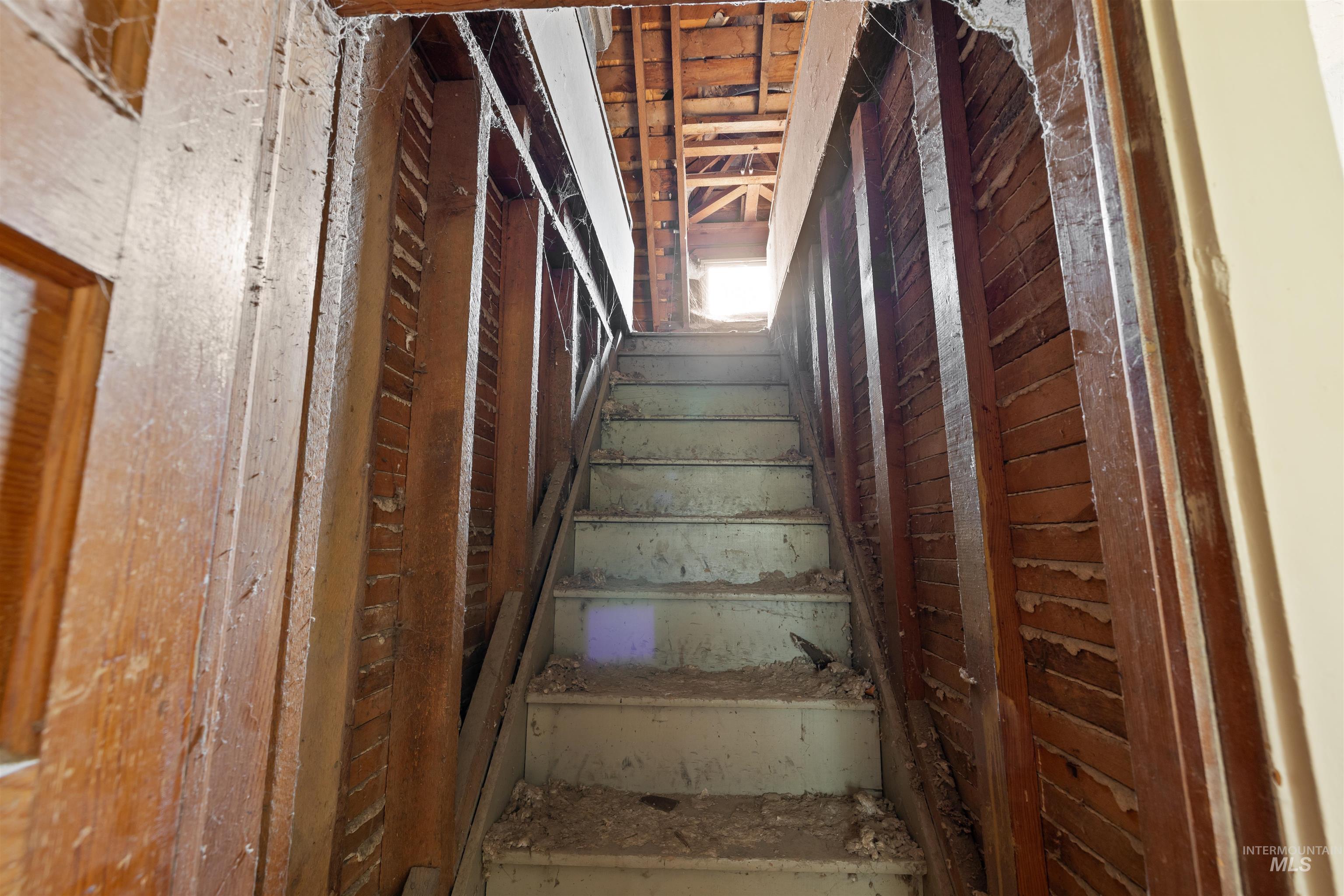 Staircase featuring wooden walls