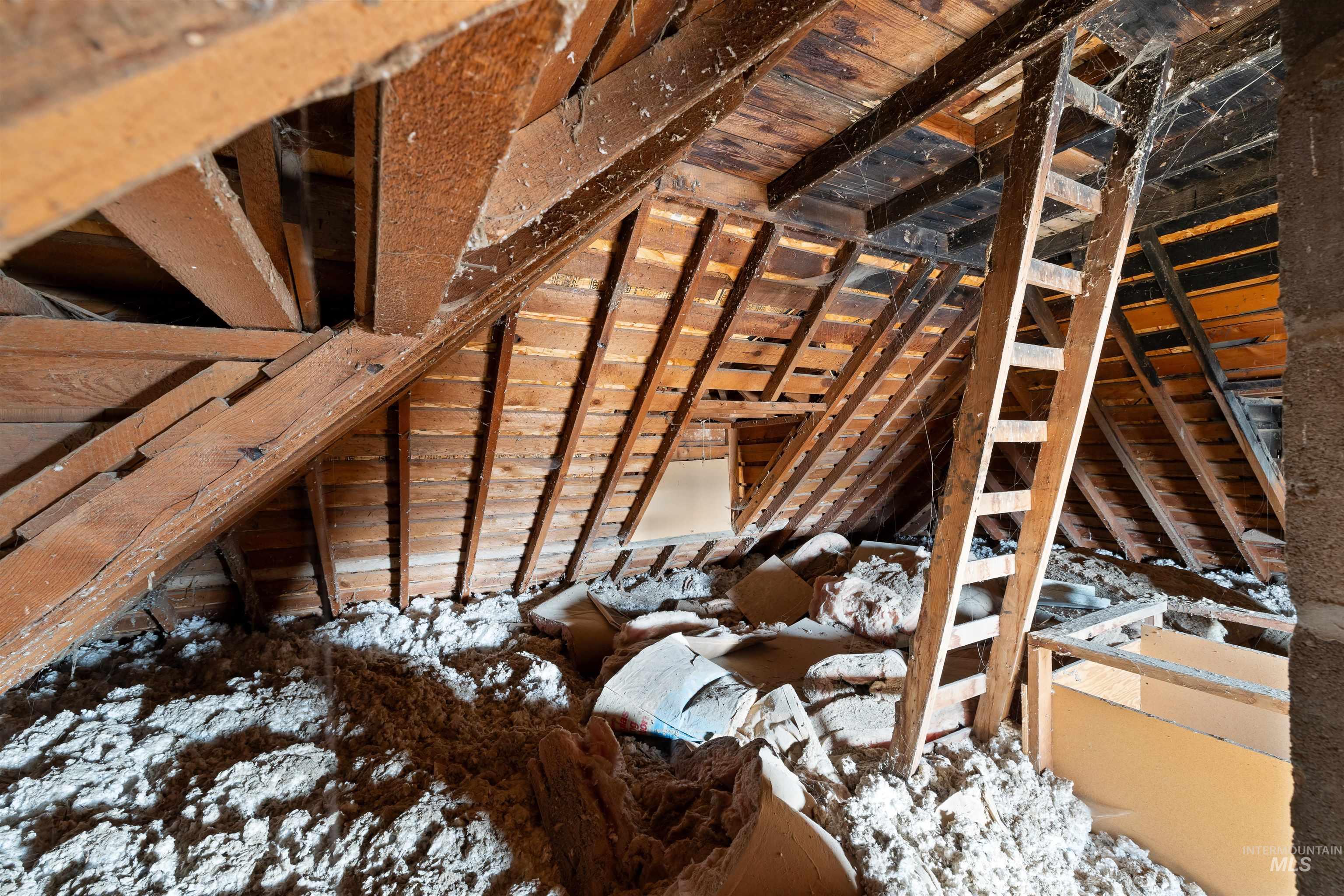 View of unfinished attic