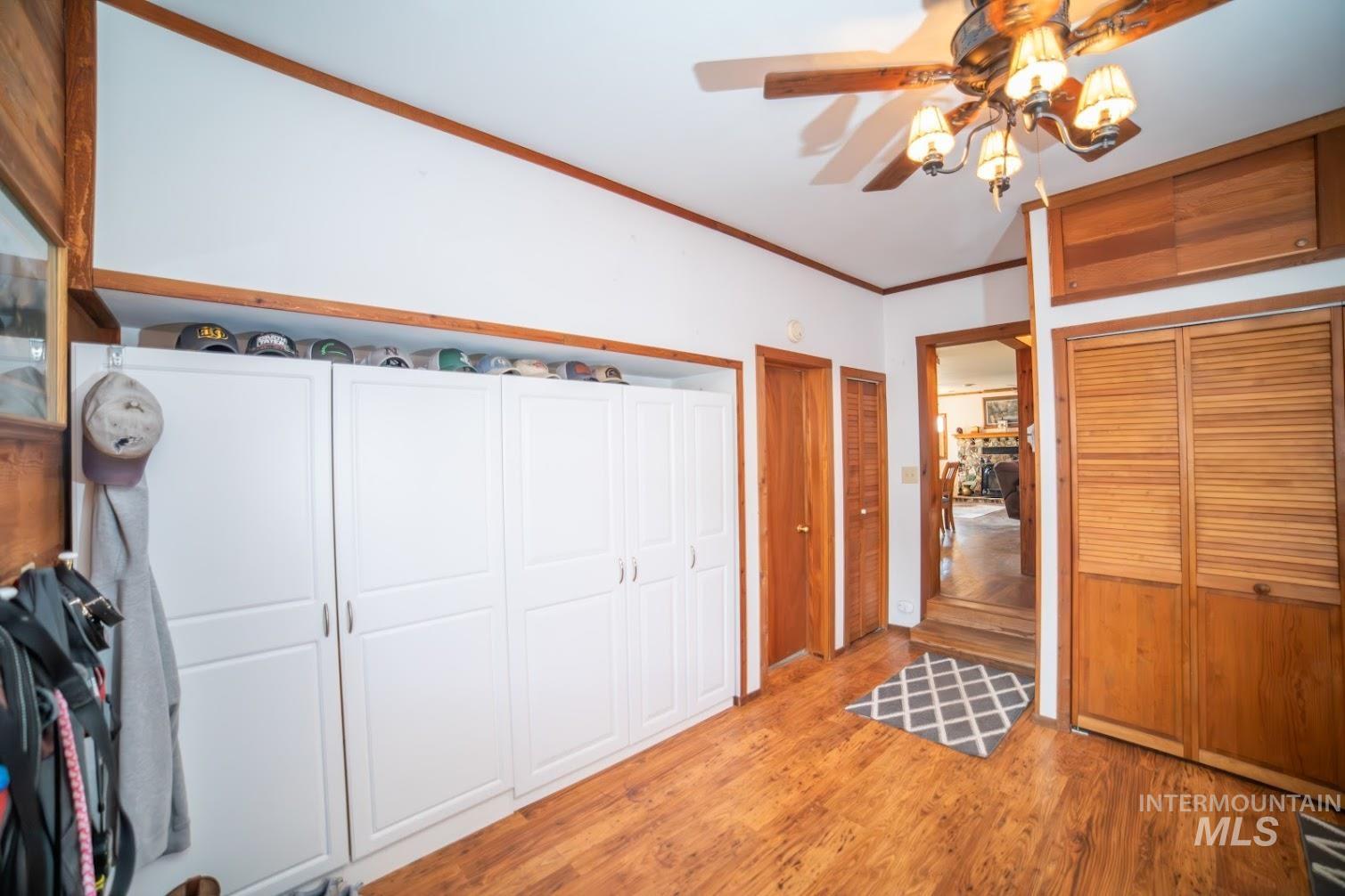 Unfurnished bedroom with crown molding, light wood-type flooring, multiple closets, and ceiling fan