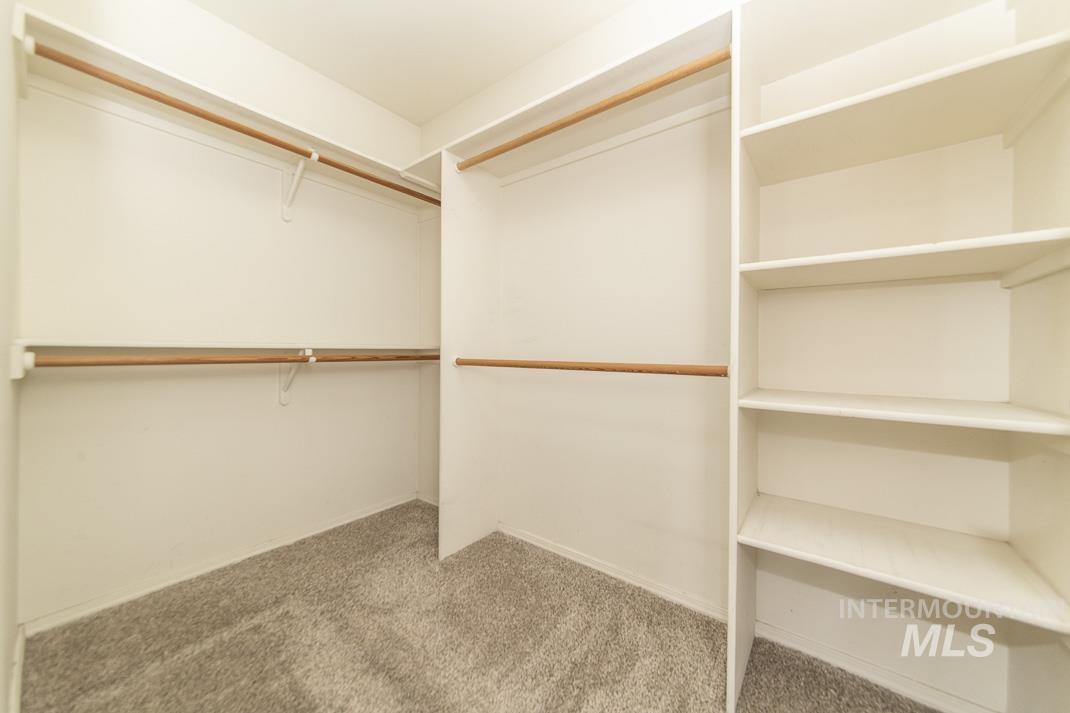 Walk in closet with light colored carpet