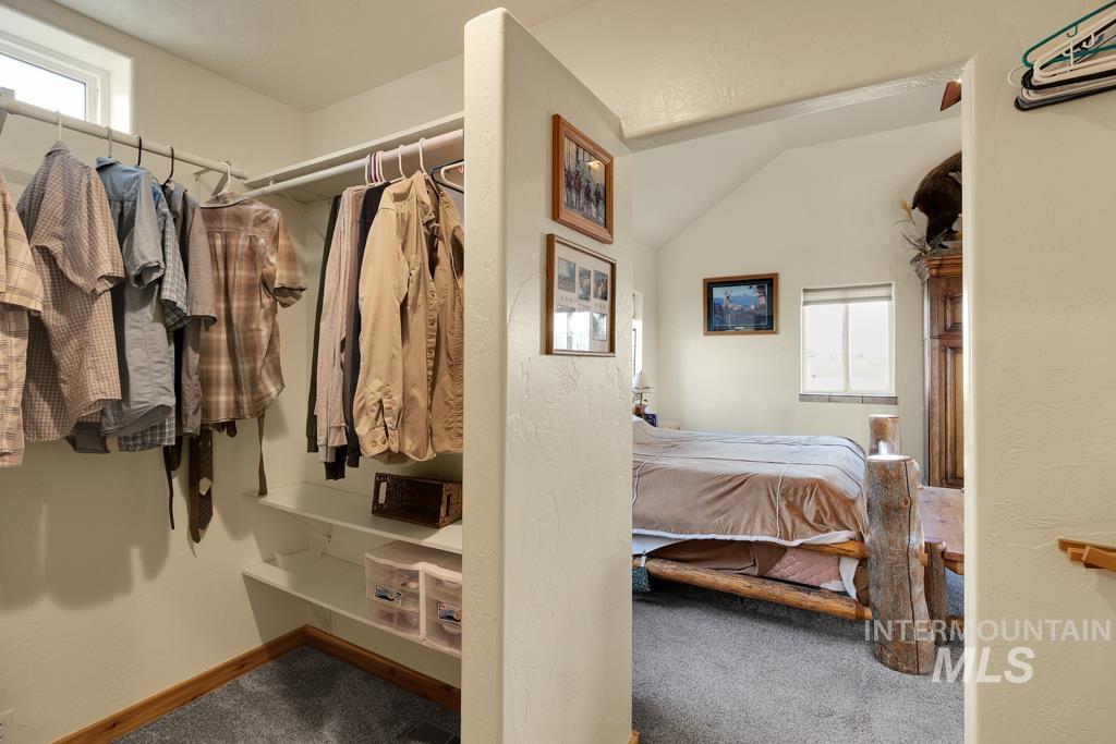 Walk in closet with carpet