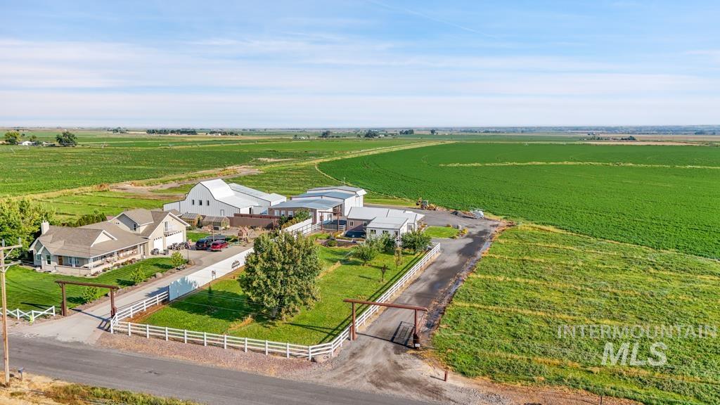View of rural area with rows of crops