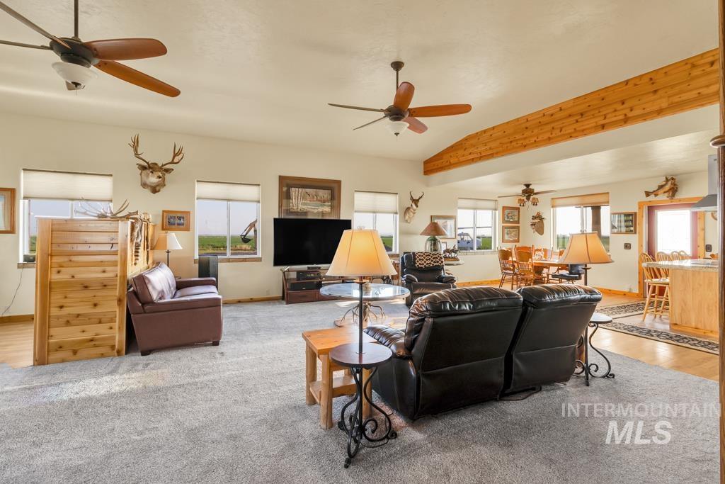 Living area with ceiling fan and light colored carpet