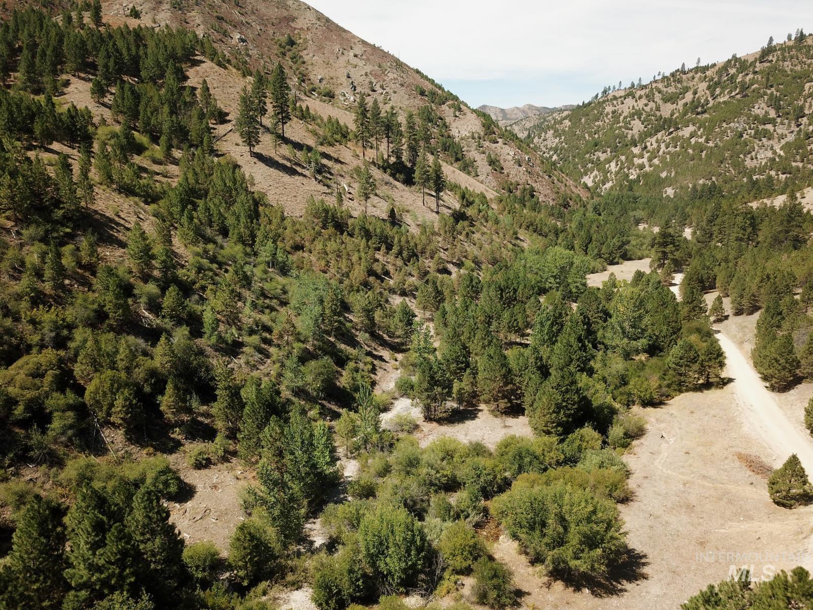 14 Long Gulch Rd, Prairie, Idaho 83647, Land For Sale, Price $199,000, 98961205