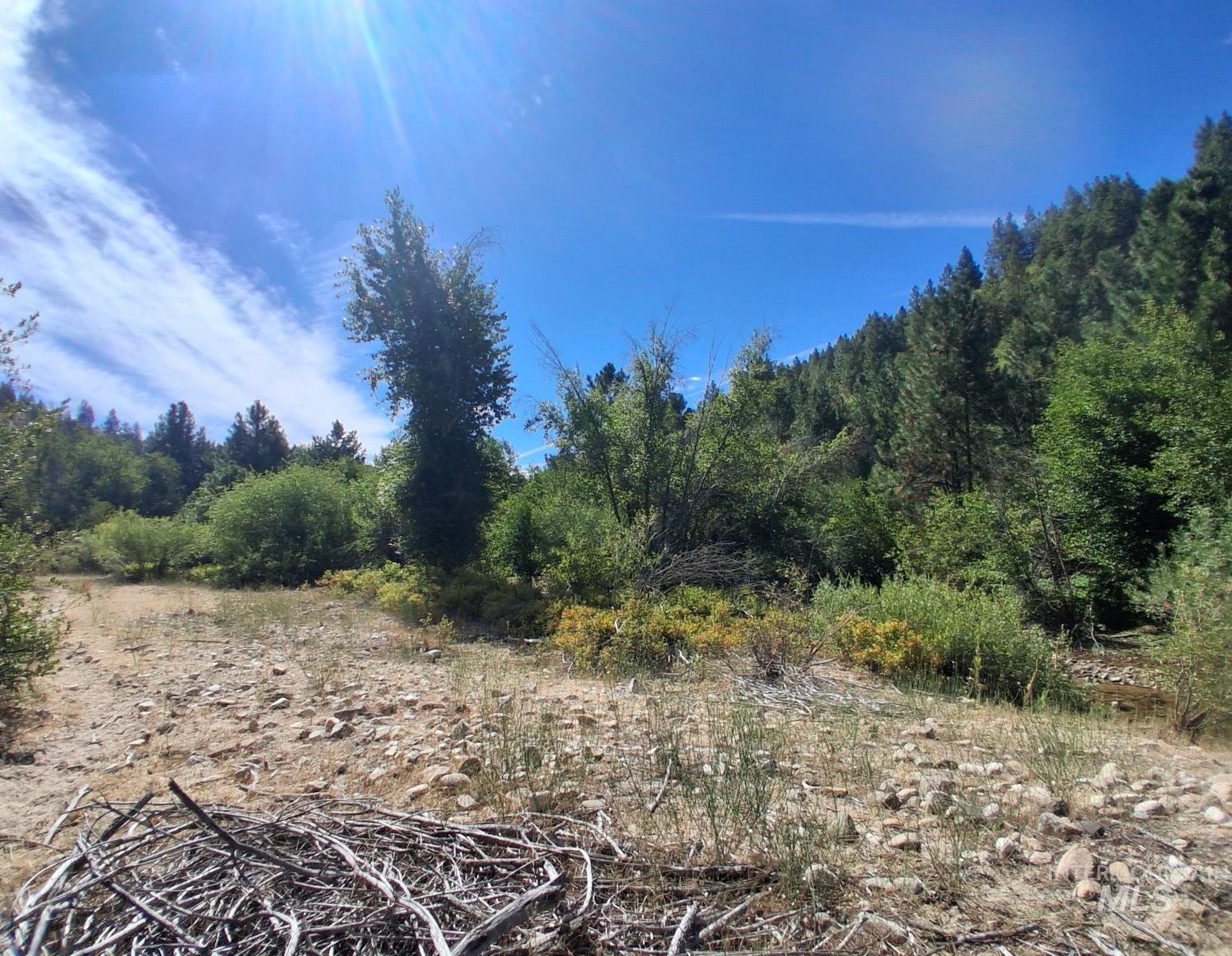14 Long Gulch Rd, Prairie, Idaho 83647, Land For Sale, Price $199,000, 98961205