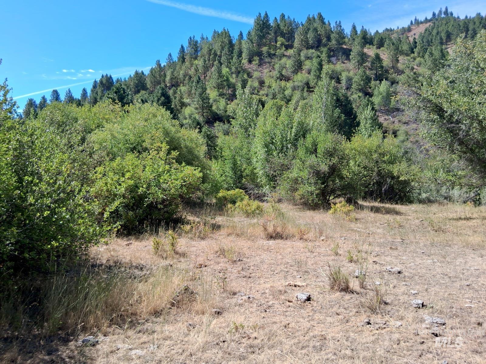 14 Long Gulch Rd, Prairie, Idaho 83647, Land For Sale, Price $199,000, 98961205