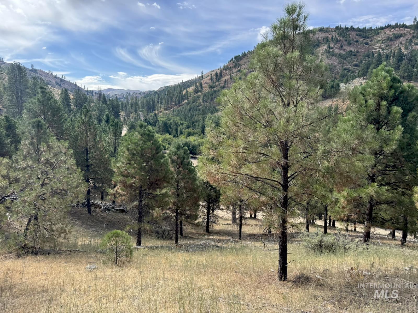 14 Long Gulch Rd, Prairie, Idaho 83647, Land For Sale, Price $199,000, 98961205