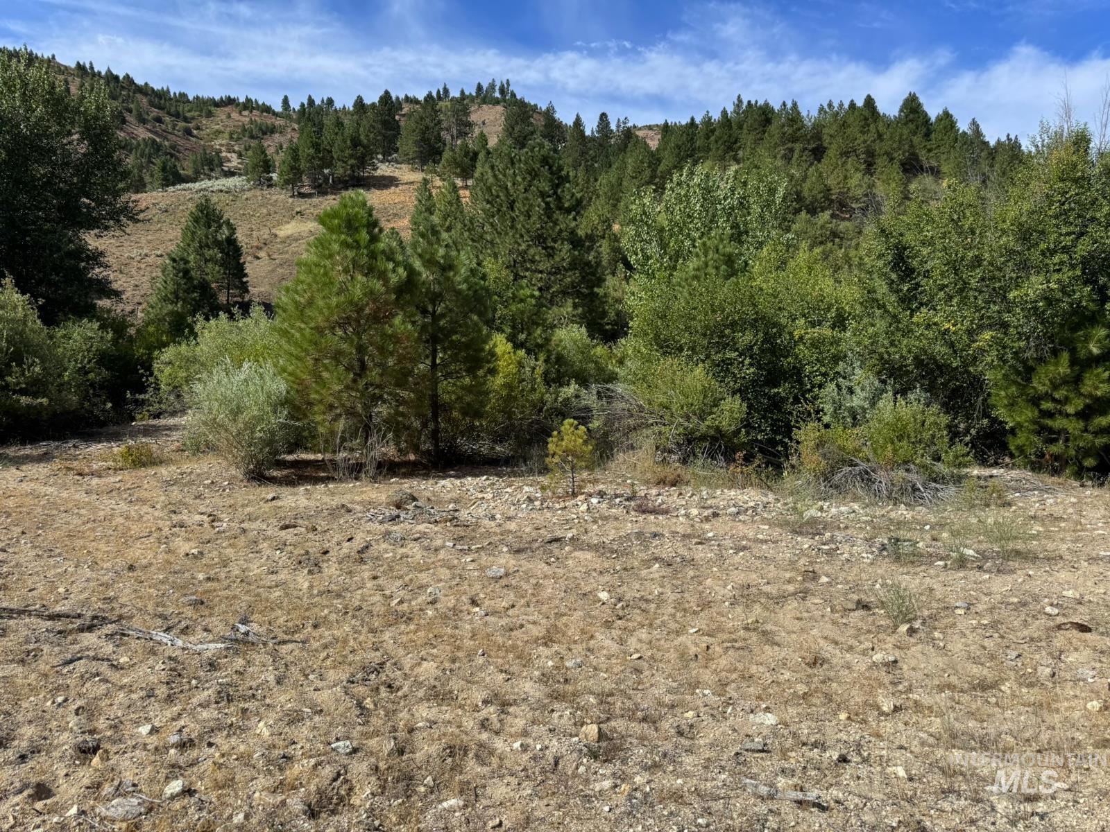 14 Long Gulch Rd, Prairie, Idaho 83647, Land For Sale, Price $199,000, 98961205